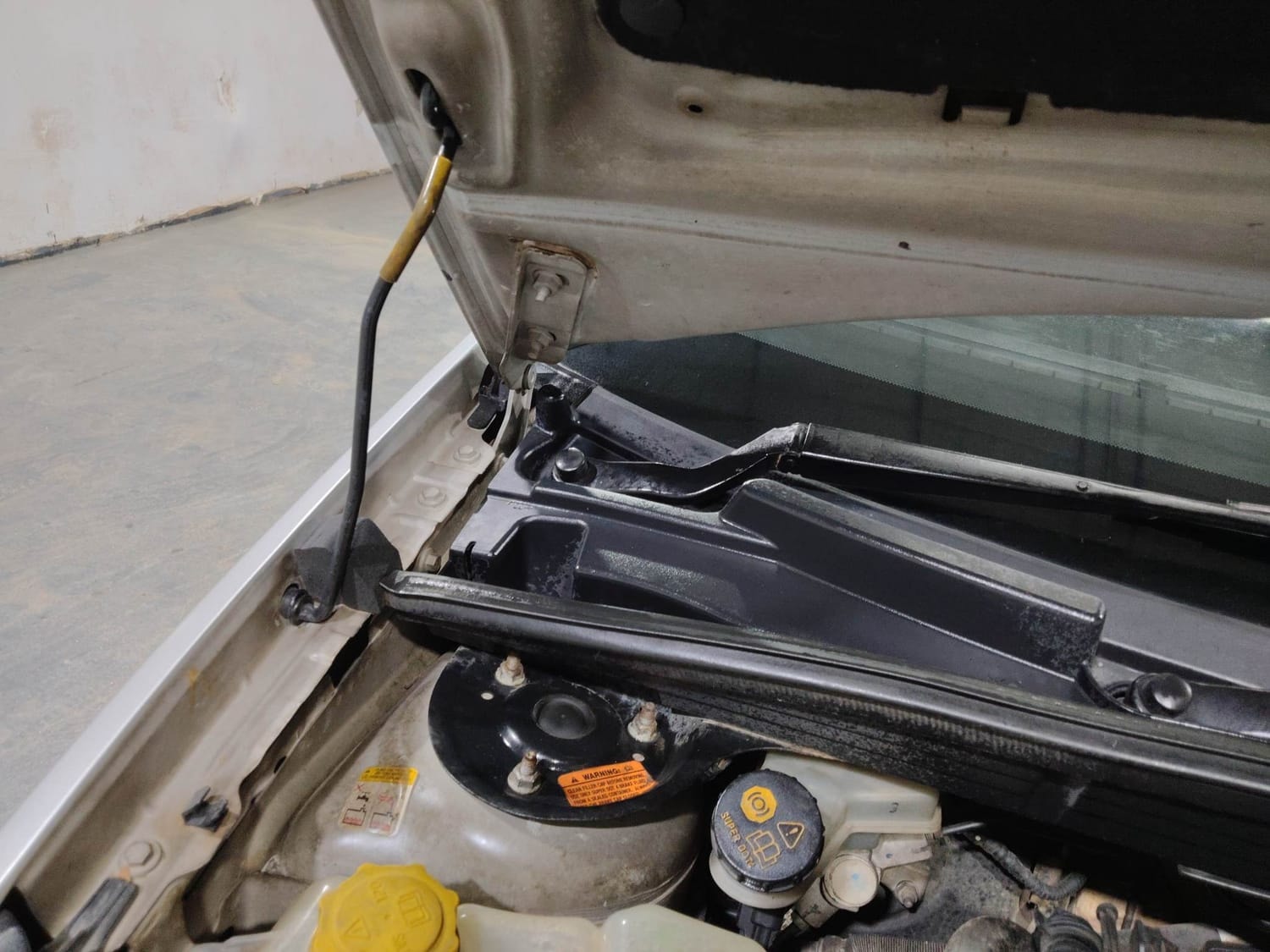 Figo image 31 Figo image 31