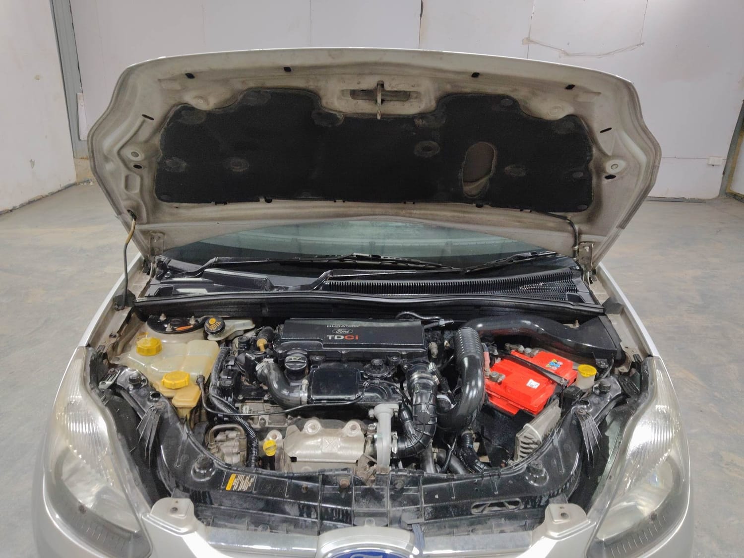 Figo image 27 Figo image 27