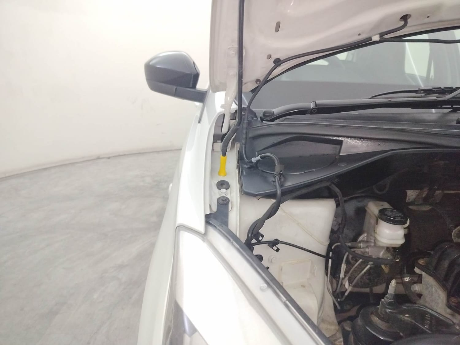 Tiago image 31 Tiago image 31