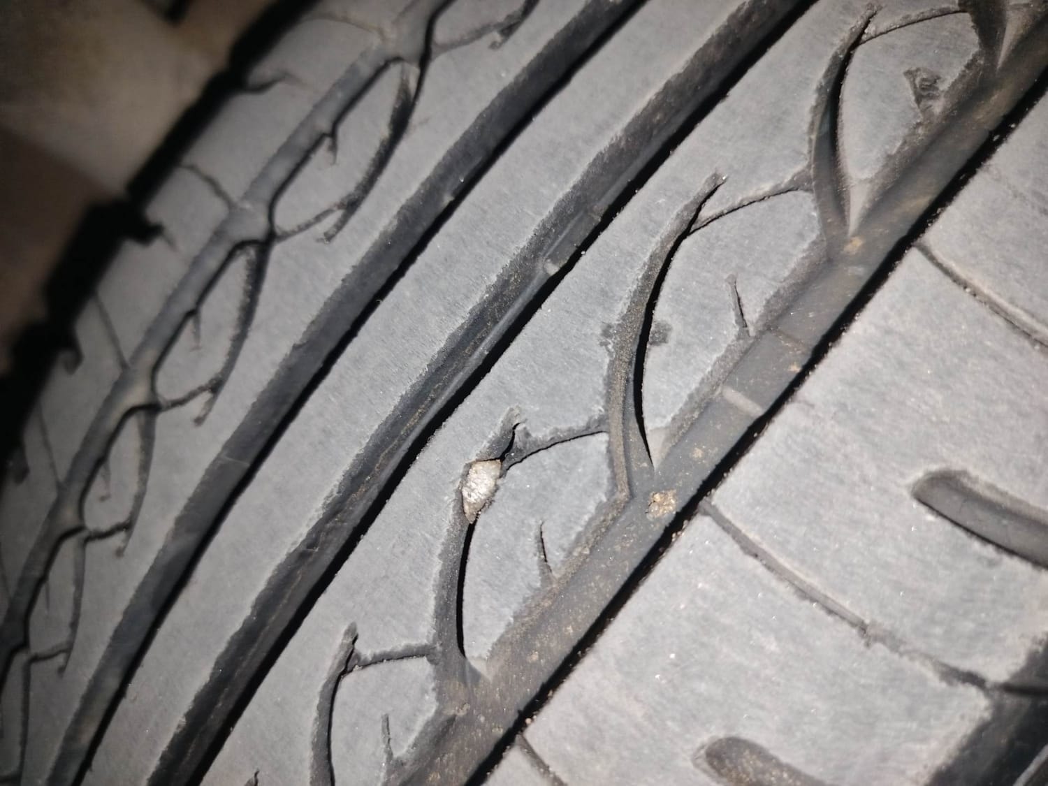 Tiago image 38 Tiago image 38