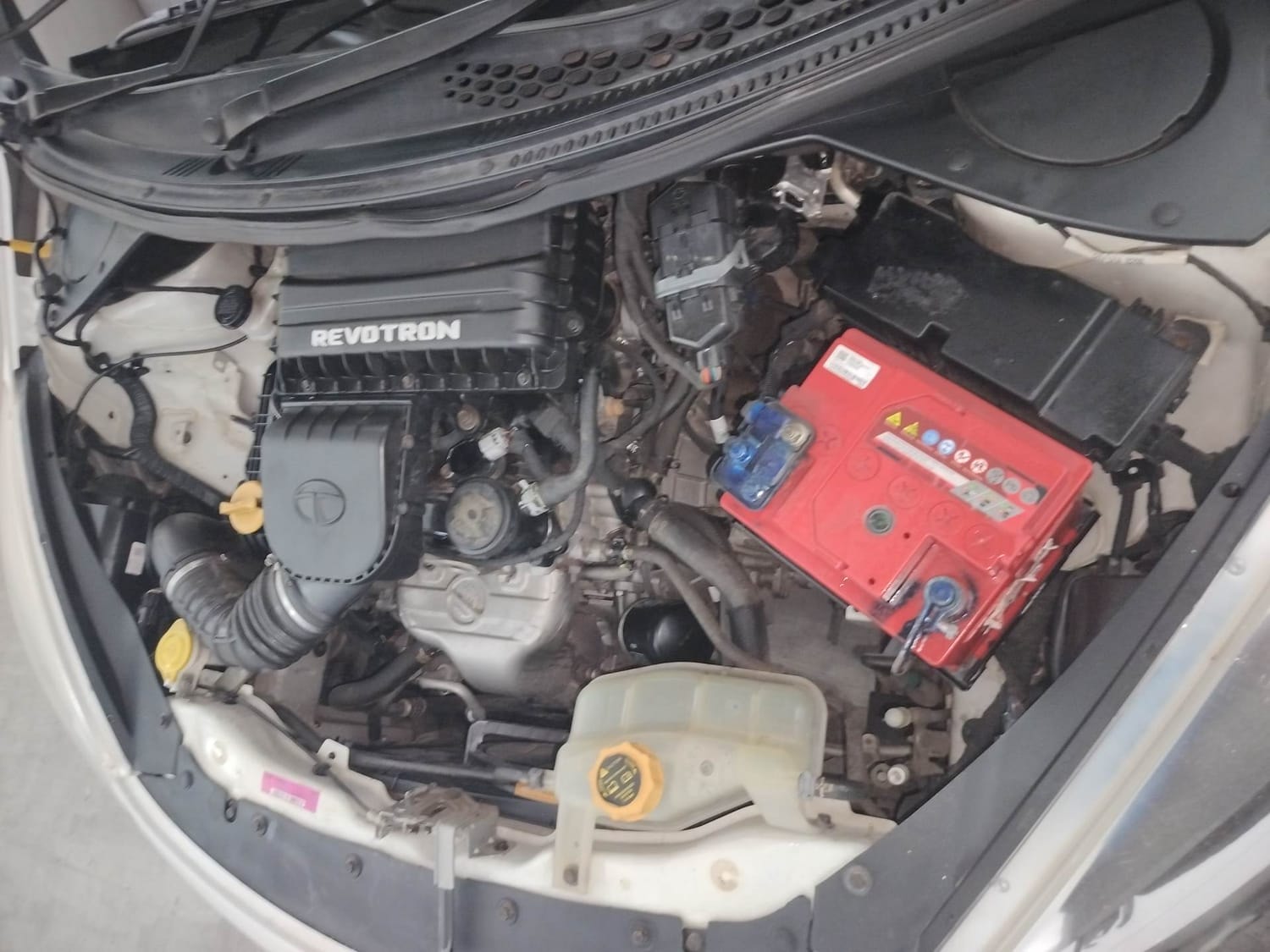 Tiago image 28 Tiago image 28