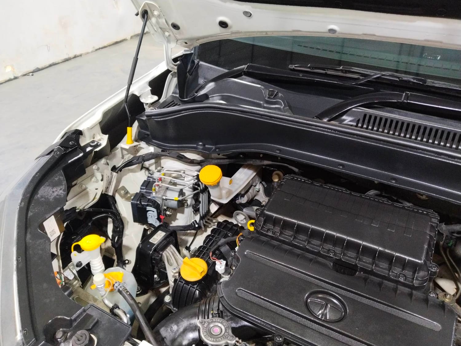 Punch image 31 Punch image 31