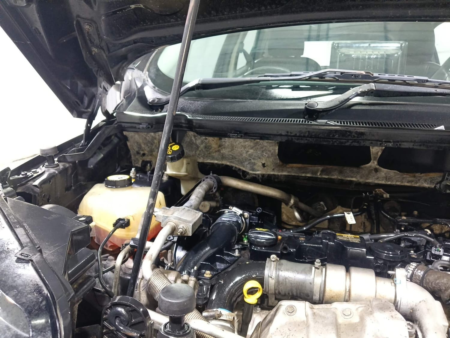 EcoSport image 31 EcoSport image 31