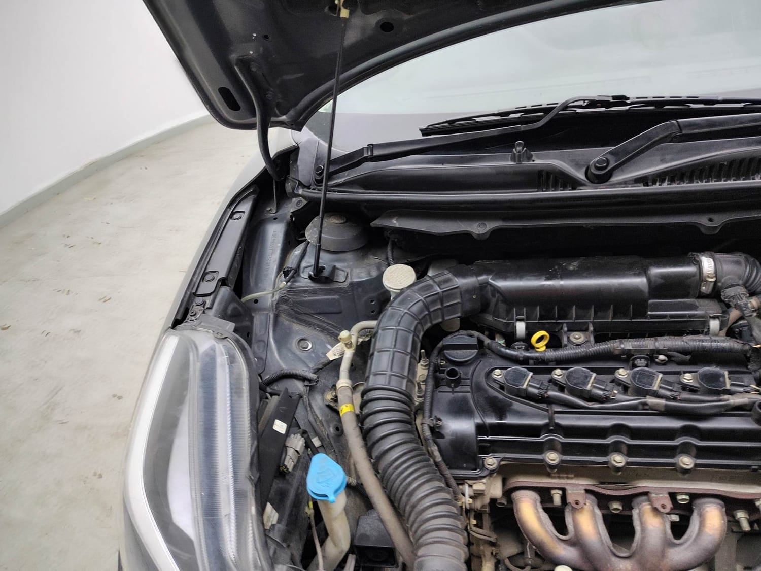 Baleno image 31 Baleno image 31