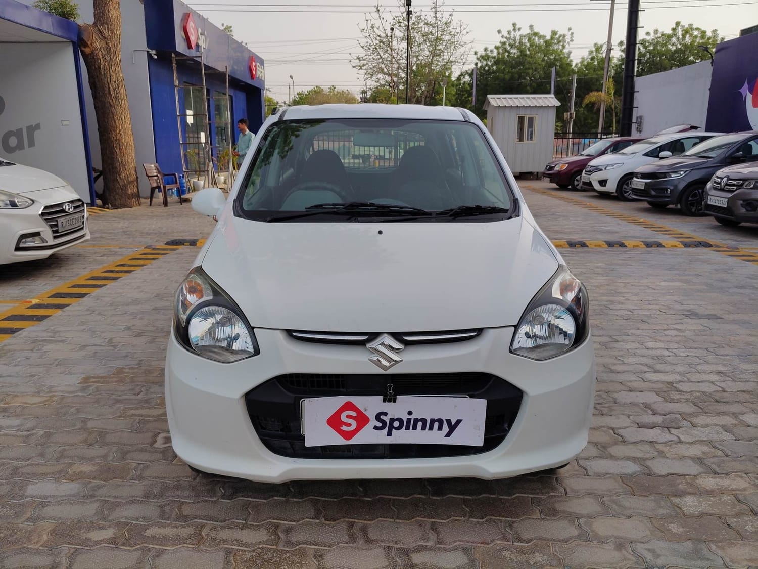 Alto 800 image 8 Alto 800 image 8