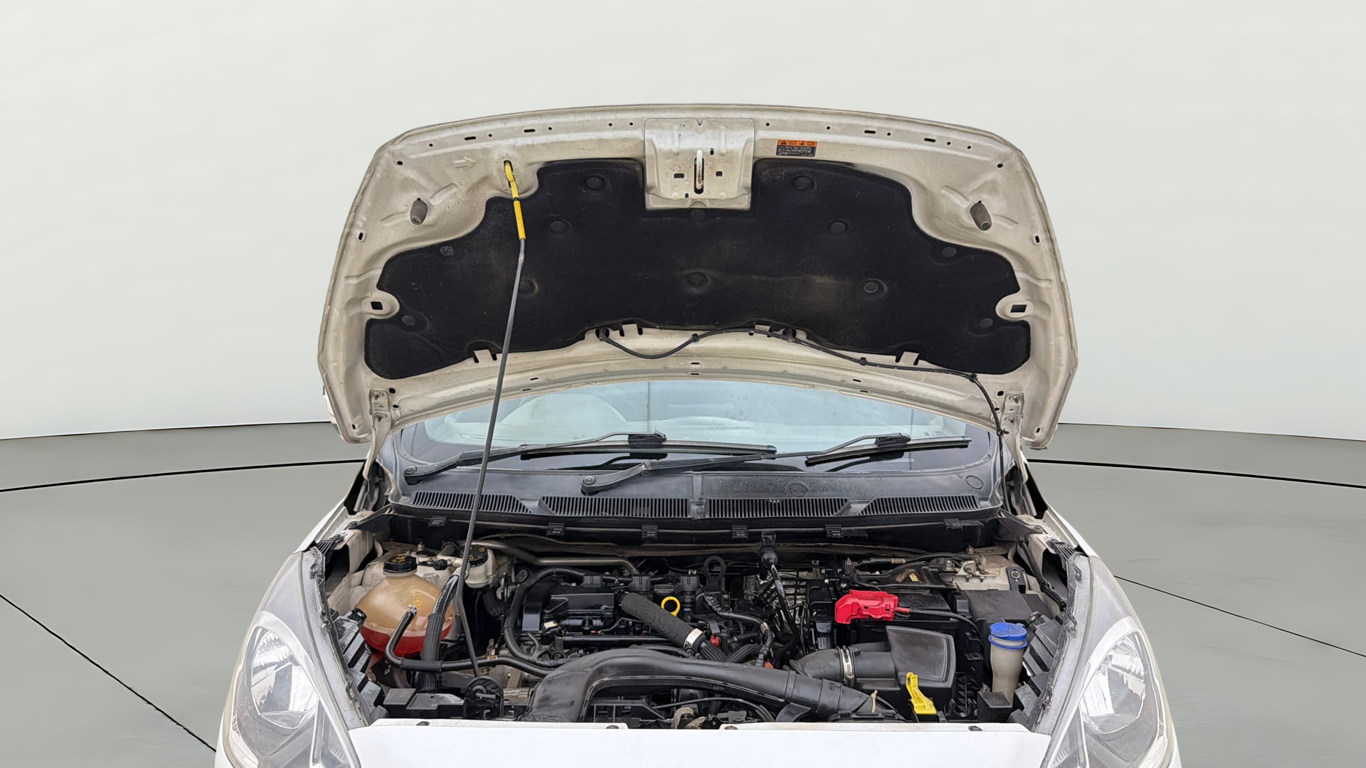 Used 2019 Ford Freestyle Used 2019 Ford Freestyle