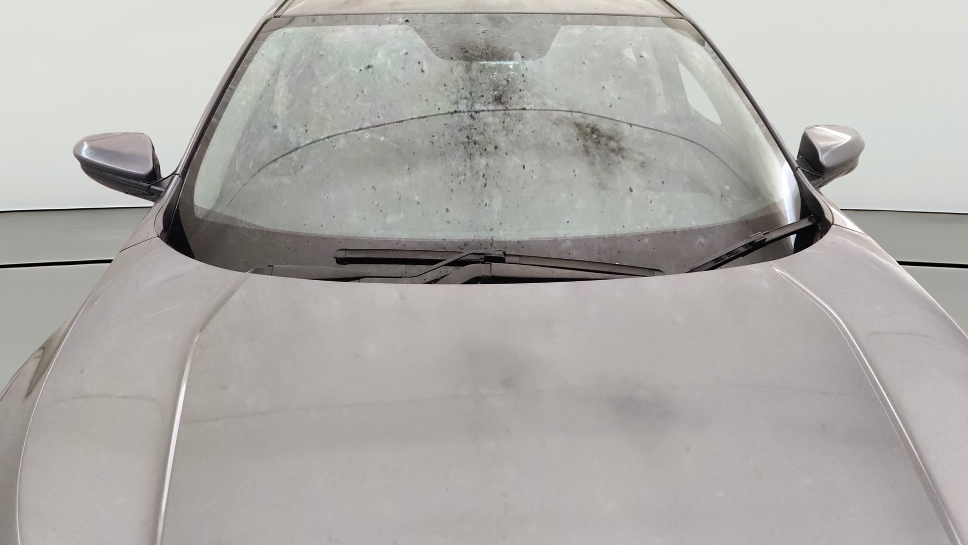 View 2019 Honda Civic Hybrid Image 36 Used 2019 Honda Civic Hybrid Image 36