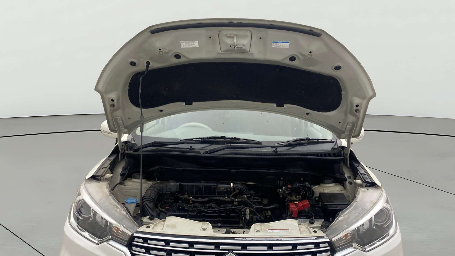 View 2021 Maruti Suzuki 1000 Base Variant Image 33 Used 2021 Maruti Suzuki 1000 Base Variant Image 33