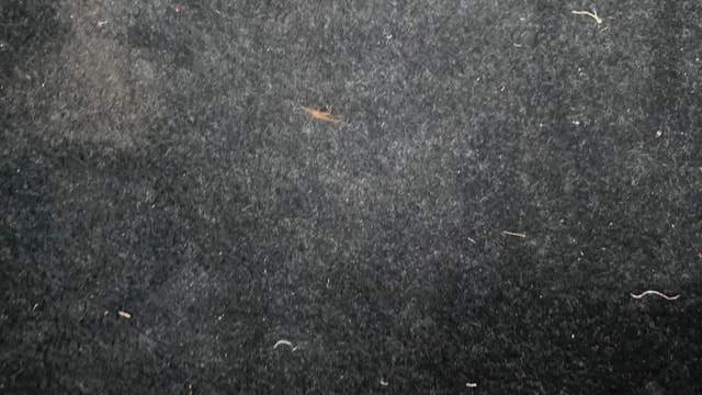 View Maruti Suzuki 1000 Image 36 Used Maruti Suzuki 1000 Image 36