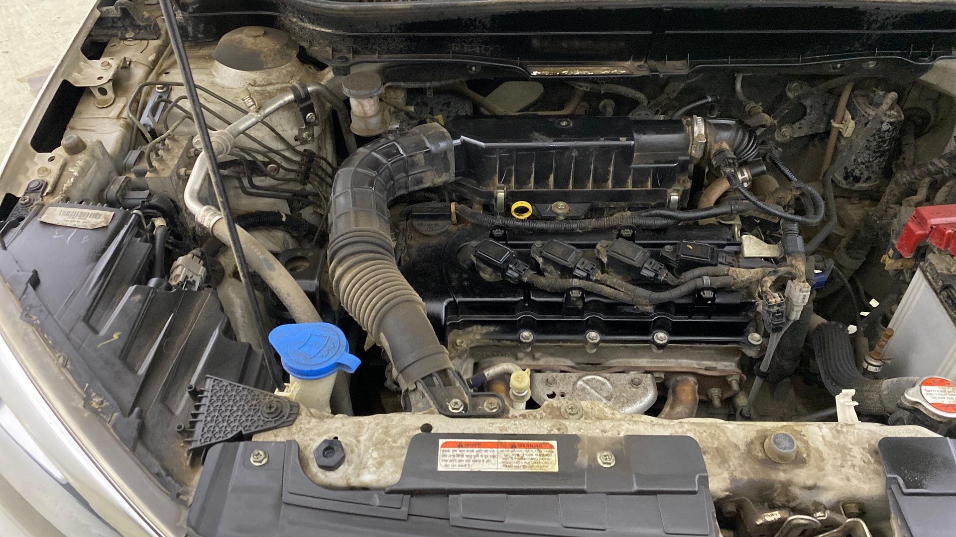 Used 2021 Maruti Suzuki 1000 Used 2021 Maruti Suzuki 1000