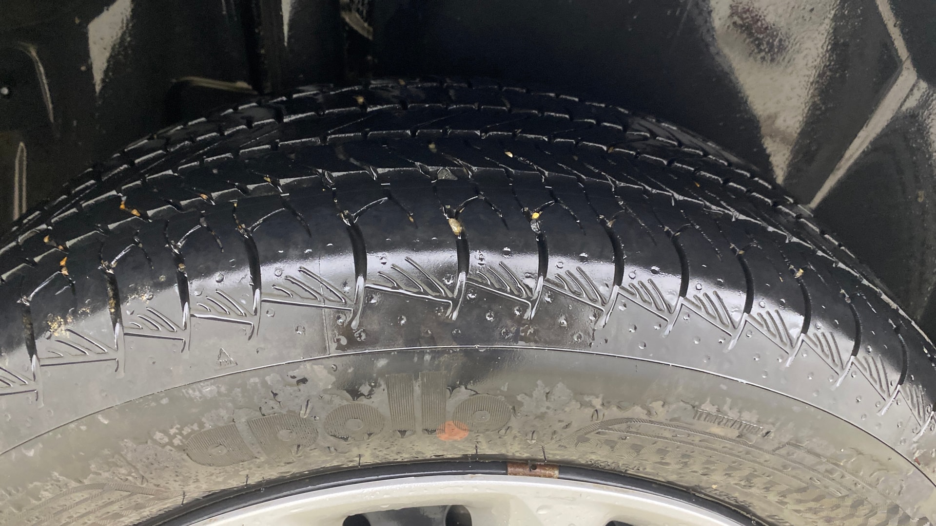 Used 2026 Maruti Suzuki 1000 Used 2026 Maruti Suzuki 1000