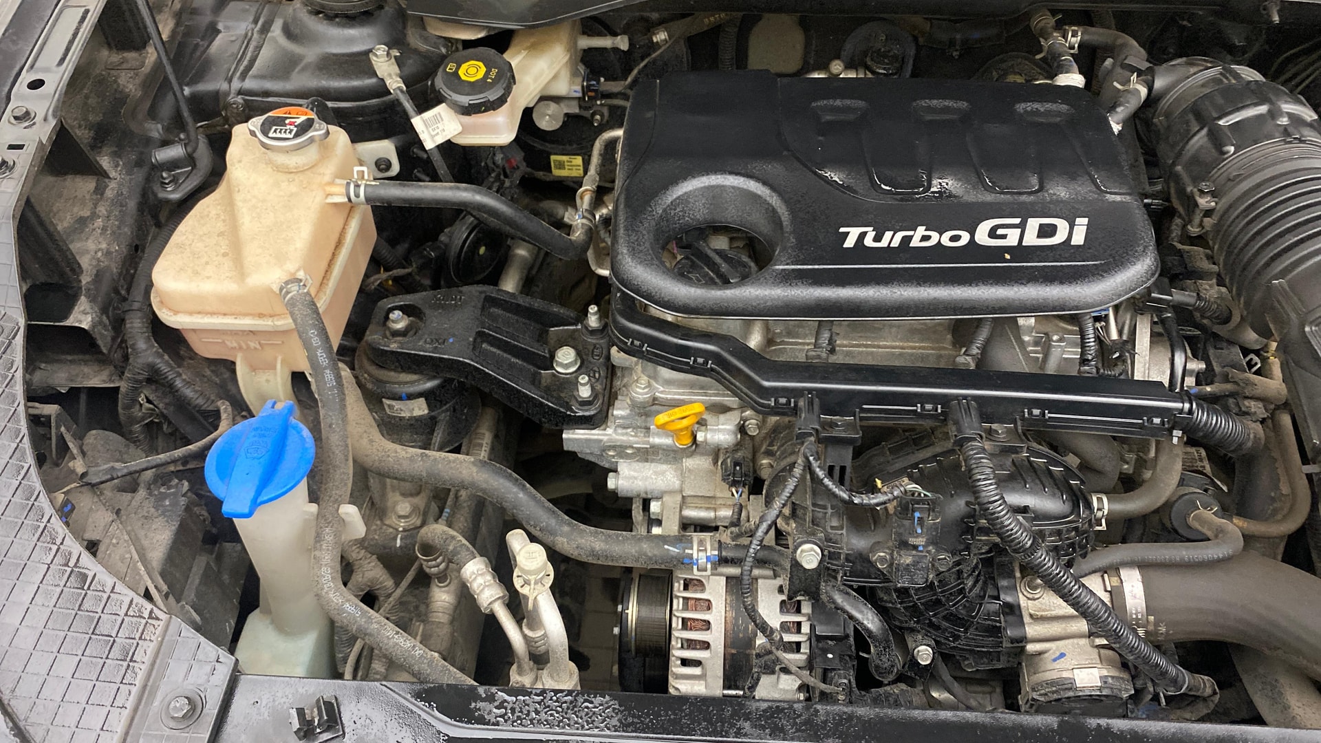 View 2023 Hyundai Venue SX (O) 1.0 Turbo Petrol DCT Image 25 Used 2023 Hyundai Venue SX (O) 1.0 Turbo Petrol DCT Image 25