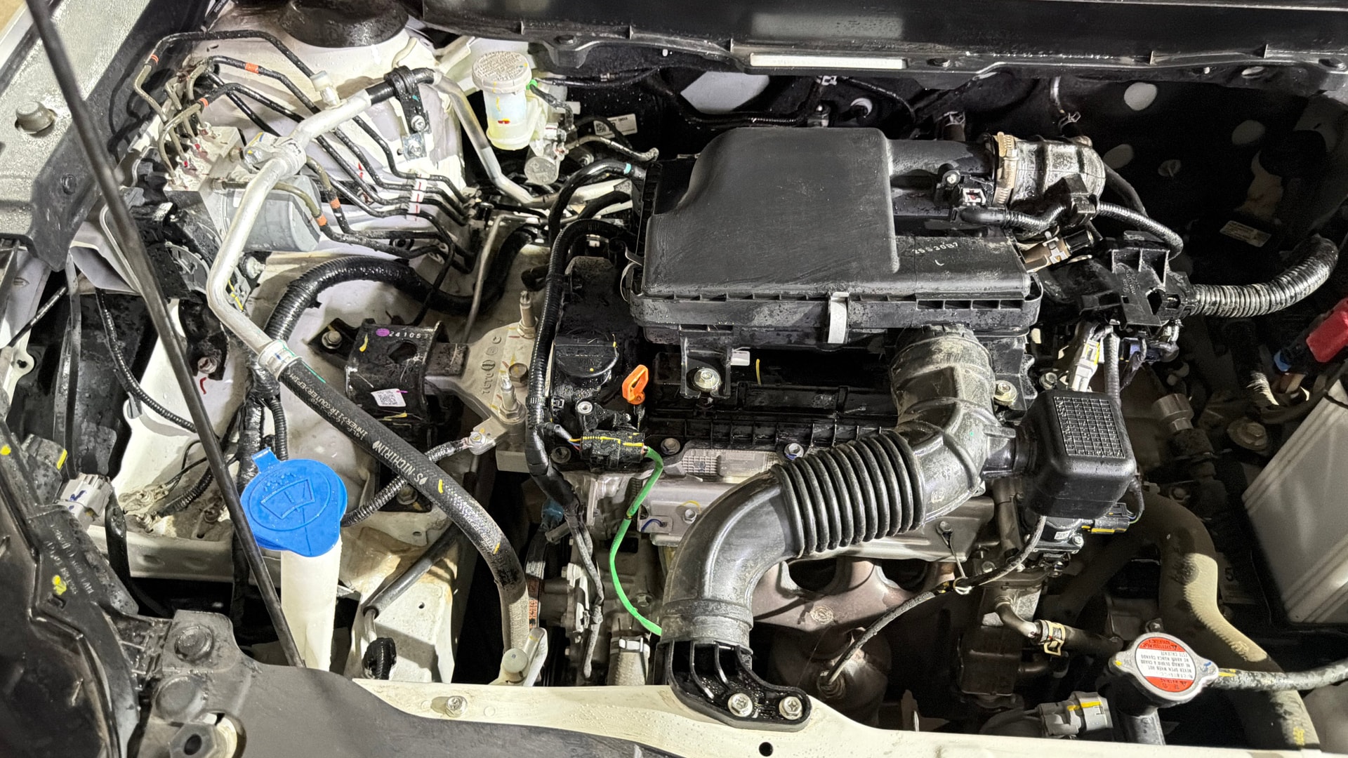 Used 2026 Maruti Suzuki 1000 Used 2026 Maruti Suzuki 1000