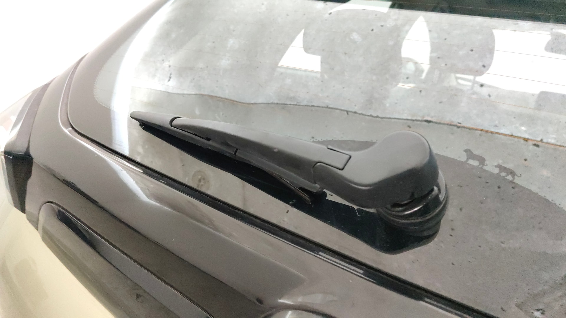 View 2022 Tata Nexon Revotorq Kaziranga XZA Plus AMT Image 24 Used 2022 Tata Nexon Revotorq Kaziranga XZA Plus AMT Image 24