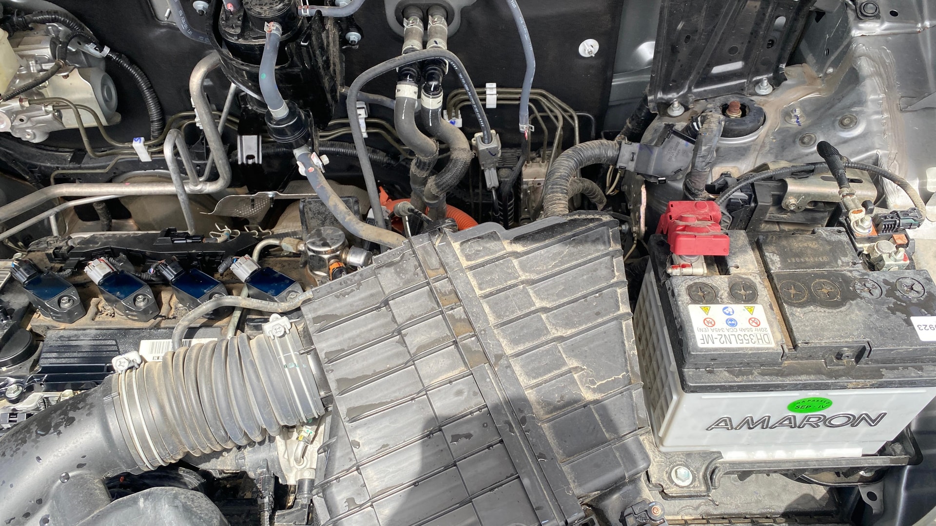 View 2024 Maruti Suzuki 1000 Base Variant Image 31 Used 2024 Maruti Suzuki 1000 Base Variant Image 31