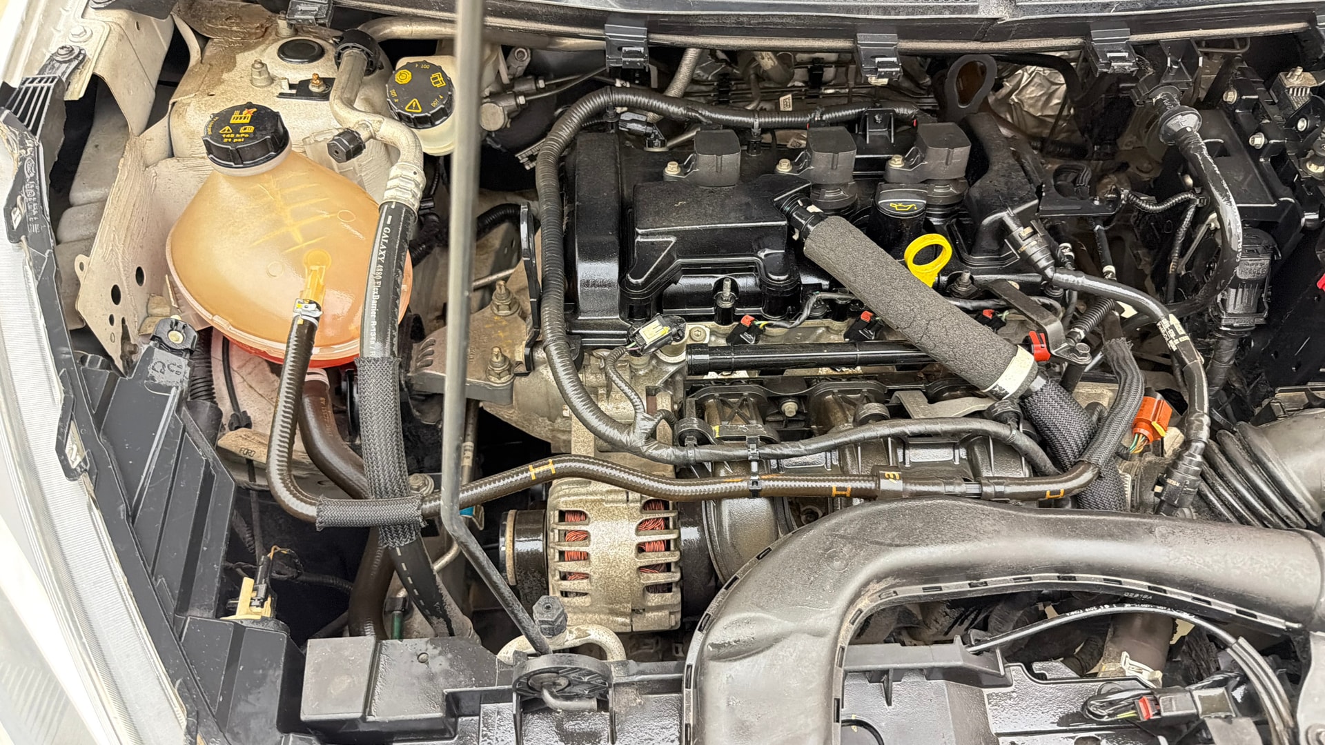 Used 2019 Ford Freestyle Used 2019 Ford Freestyle