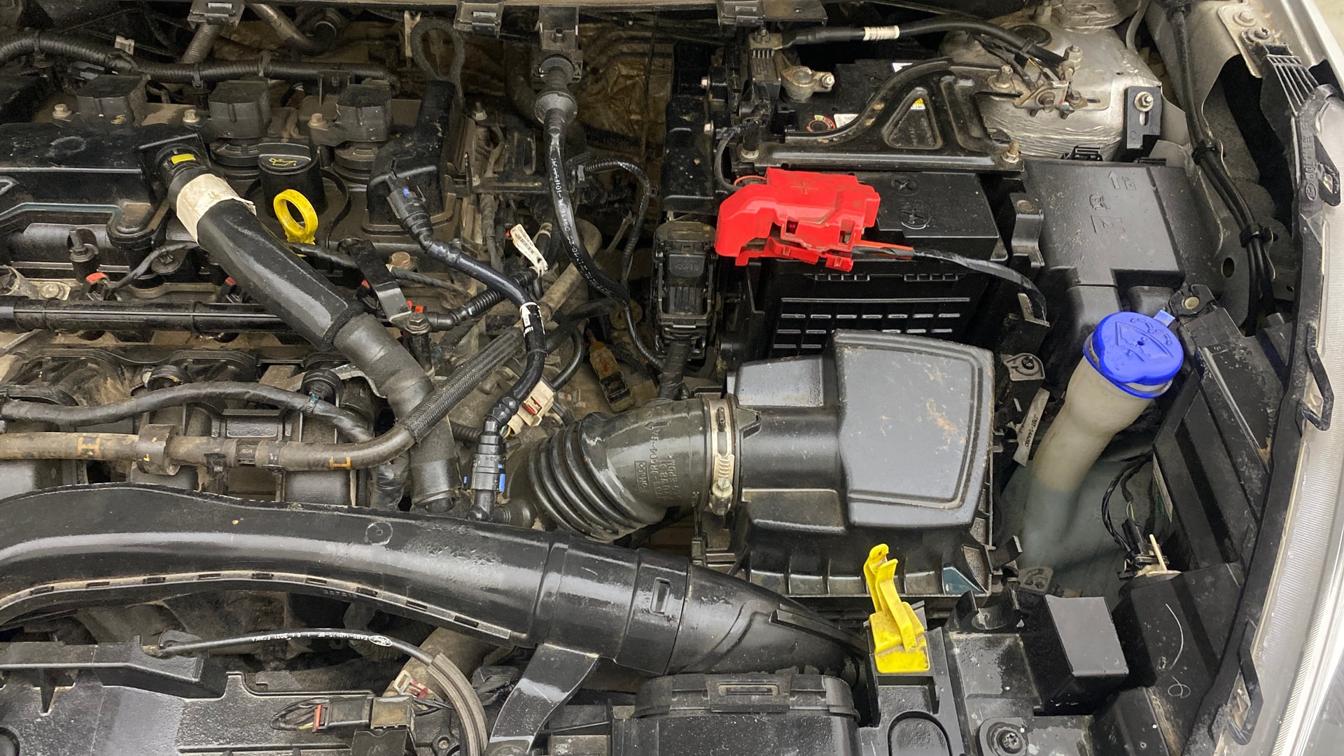 Used 2021 Ford Freestyle Used 2021 Ford Freestyle