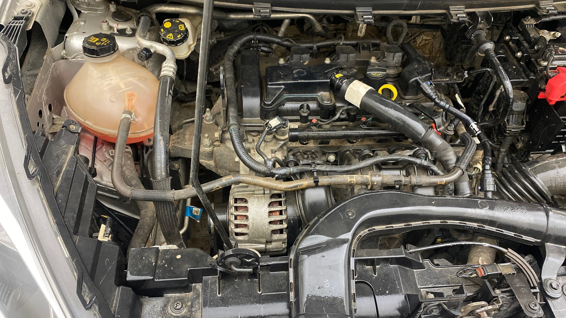 Used 2021 Ford Freestyle Used 2021 Ford Freestyle