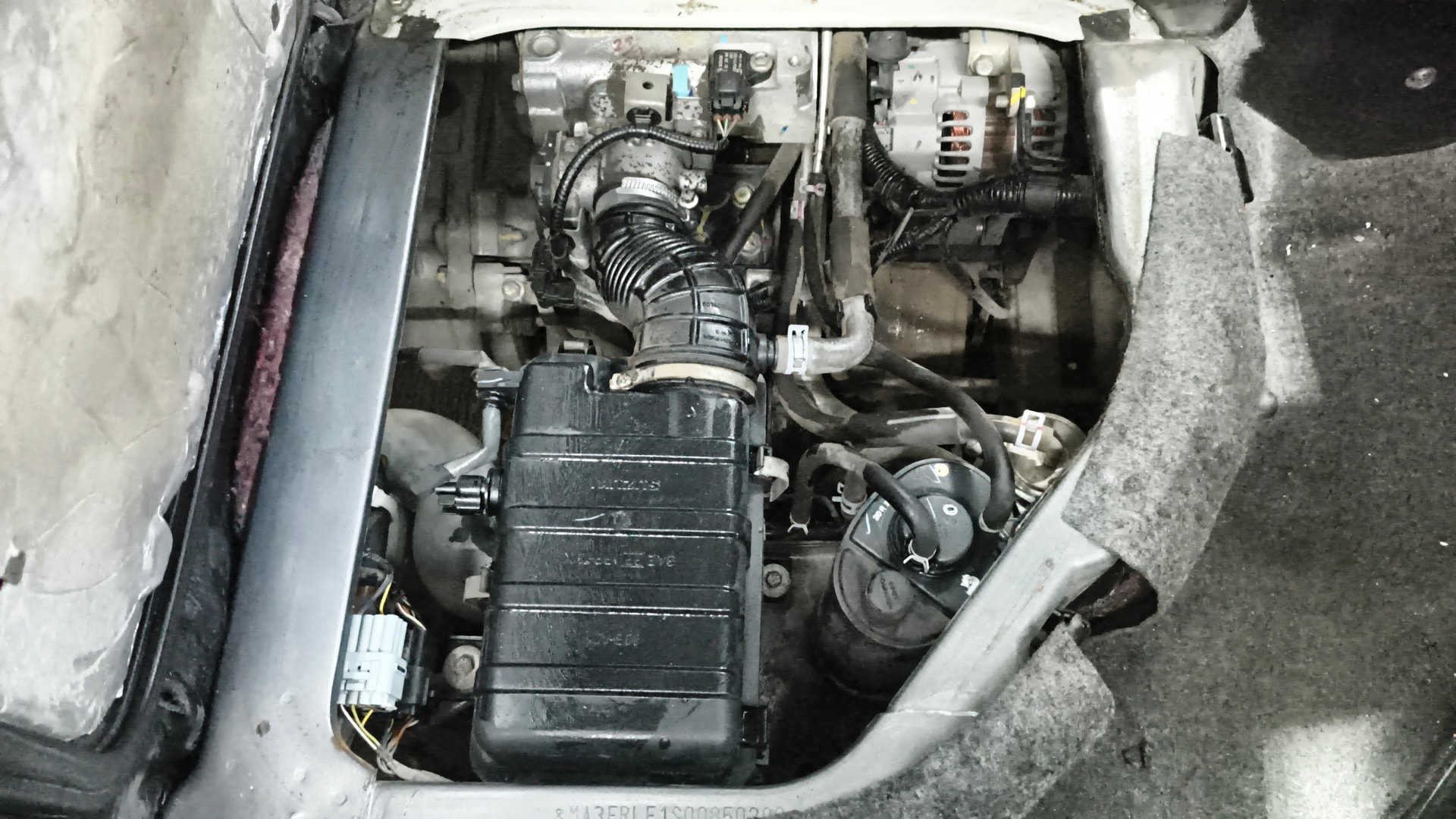 View 2020 Maruti Suzuki 1000 Base Variant Image 3 Used 2020 Maruti Suzuki 1000 Base Variant Image 3