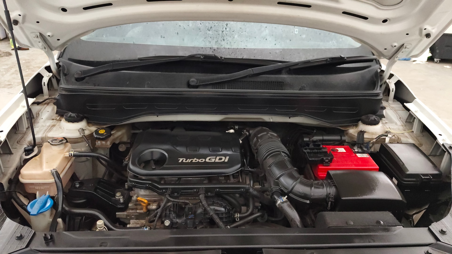 View 2021 Hyundai Venue SX 1.0 iMT Petrol Image 42 Used 2021 Hyundai Venue SX 1.0 iMT Petrol Image 42