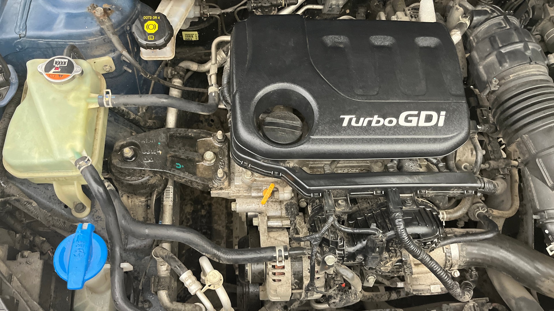 View 2020 Hyundai Venue SX 1.0 Petrol Image 25 Used 2020 Hyundai Venue SX 1.0 Petrol Image 25