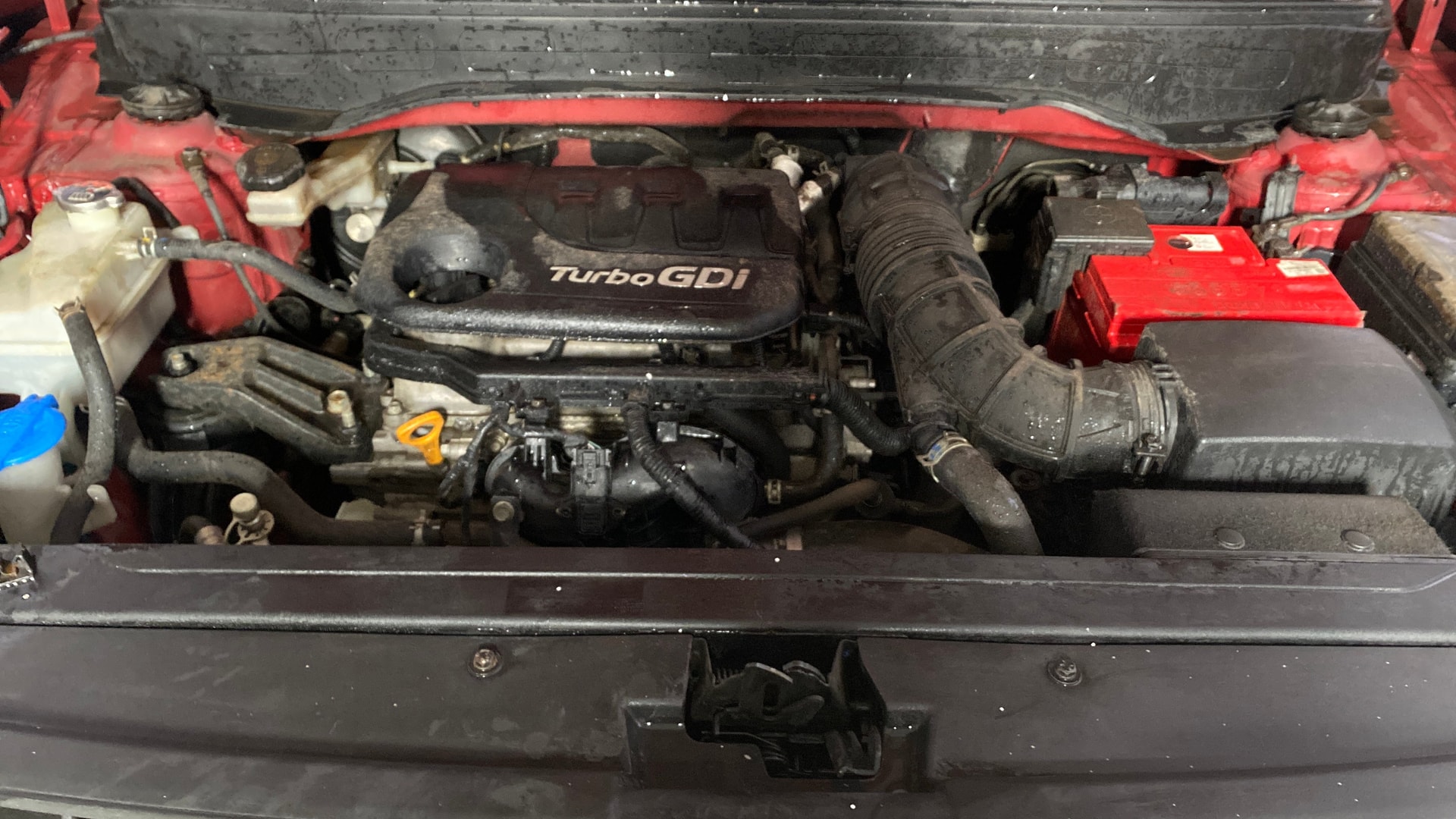 View 2019 Hyundai Venue SX Plus 1.0 Petrol AT Image 44 Used 2019 Hyundai Venue SX Plus 1.0 Petrol AT Image 44