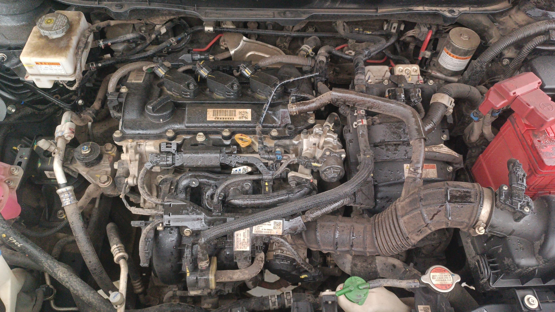 Used 2023 Maruti Suzuki 1000 Used 2023 Maruti Suzuki 1000