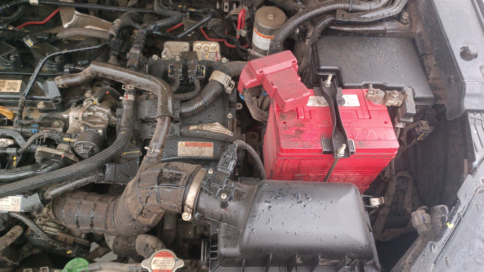 Used 2023 Maruti Suzuki 1000 Used 2023 Maruti Suzuki 1000