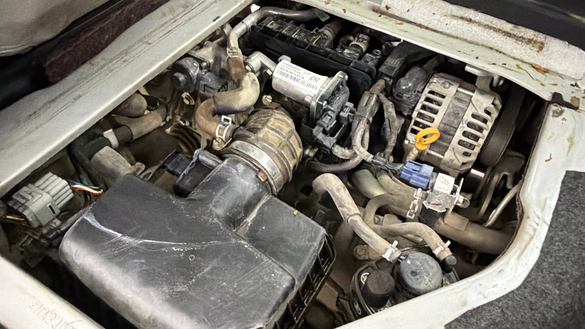 View 2024 Maruti Suzuki 1000 Base Variant Image 3 Used 2024 Maruti Suzuki 1000 Base Variant Image 3