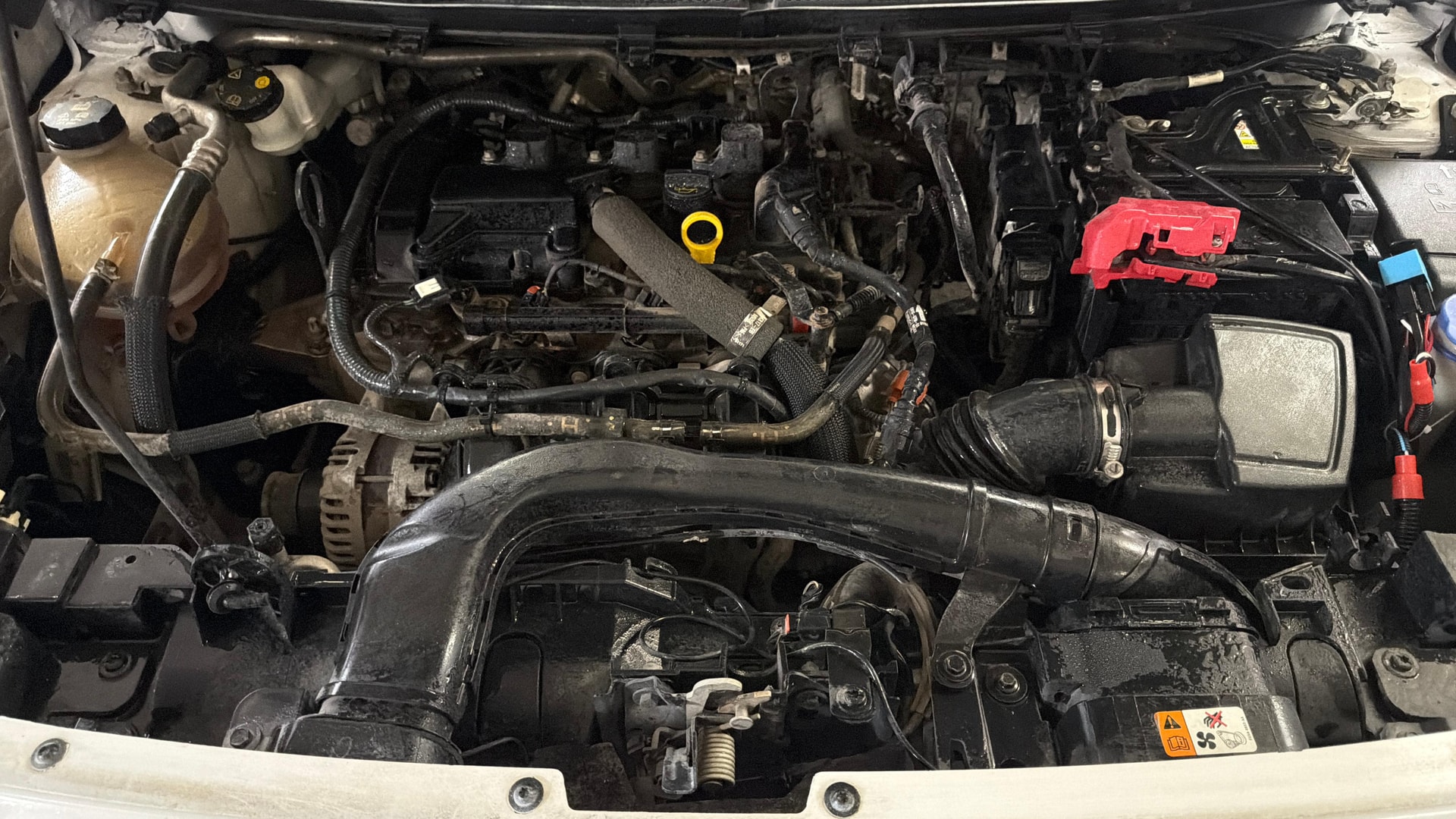Used 2019 Ford Freestyle Used 2019 Ford Freestyle