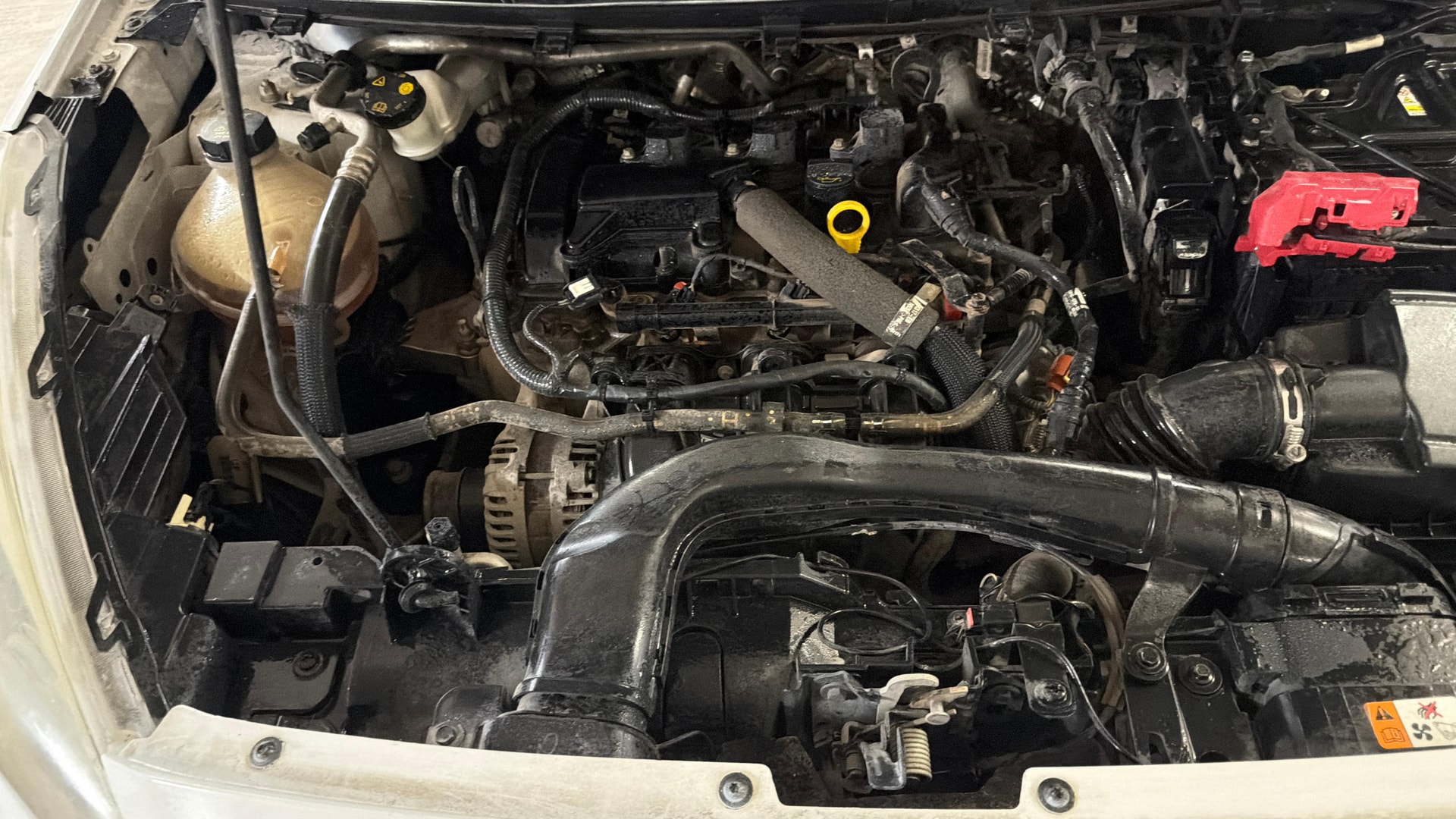 Used 2019 Ford Freestyle Used 2019 Ford Freestyle