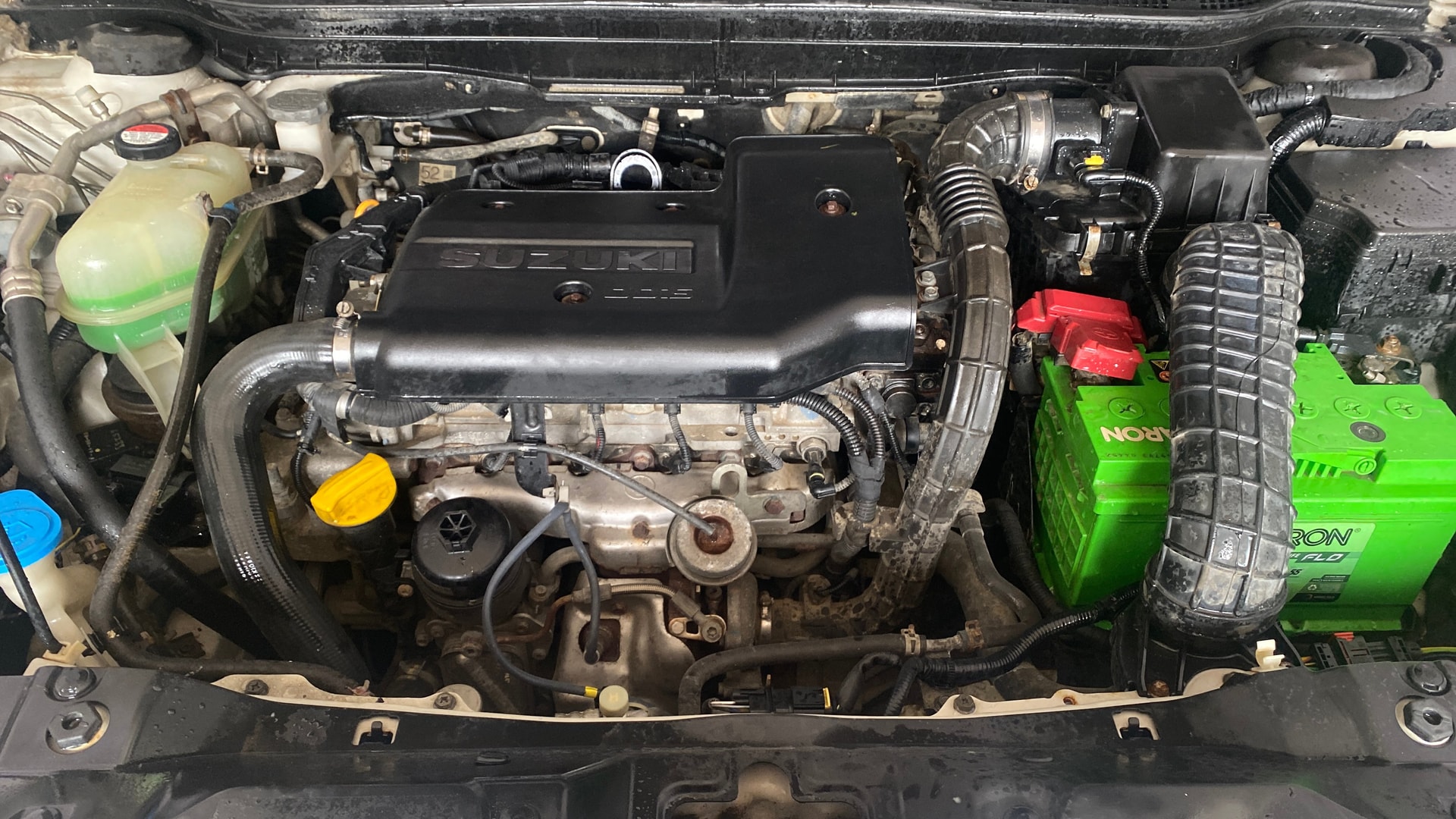View 2017 Maruti Suzuki 1000 Base Variant Image 42 Used 2017 Maruti Suzuki 1000 Base Variant Image 42