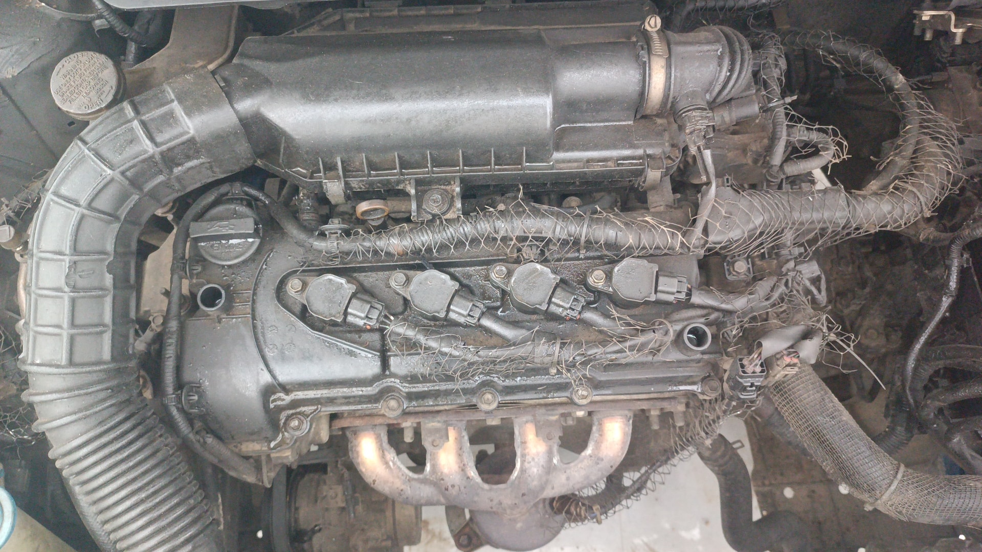 View 2020 Maruti Suzuki 1000 Base Variant Image 43 Used 2020 Maruti Suzuki 1000 Base Variant Image 43