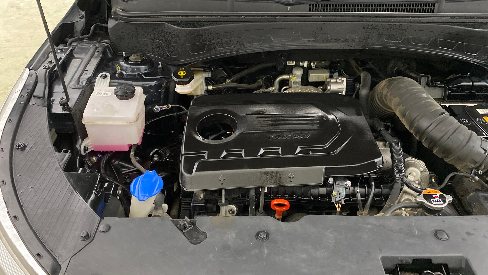 Used 2024 Kia Seltos Used 2024 Kia Seltos