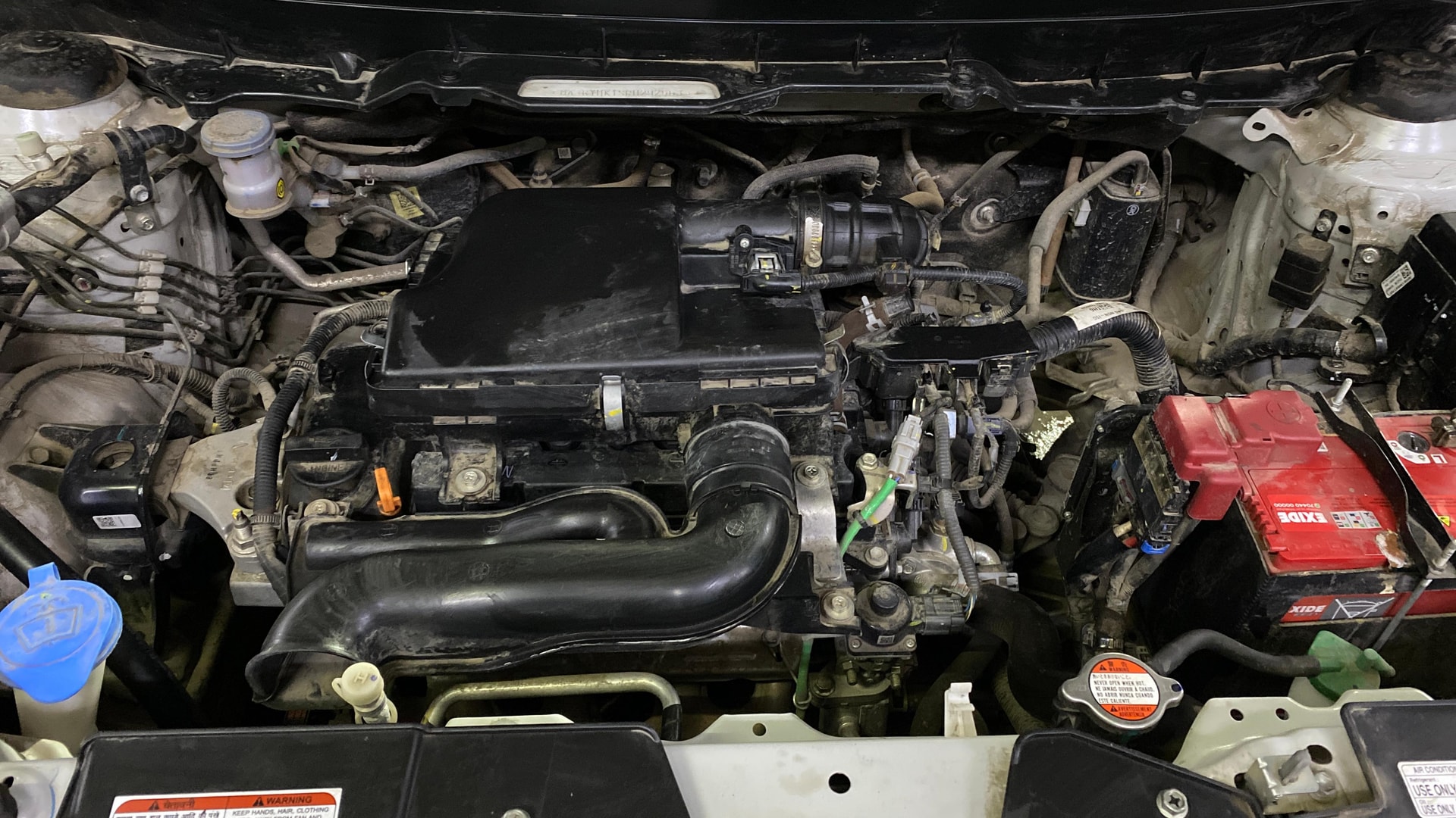 View 2019 Maruti Suzuki 1000 Base Variant Image 40 Used 2019 Maruti Suzuki 1000 Base Variant Image 40