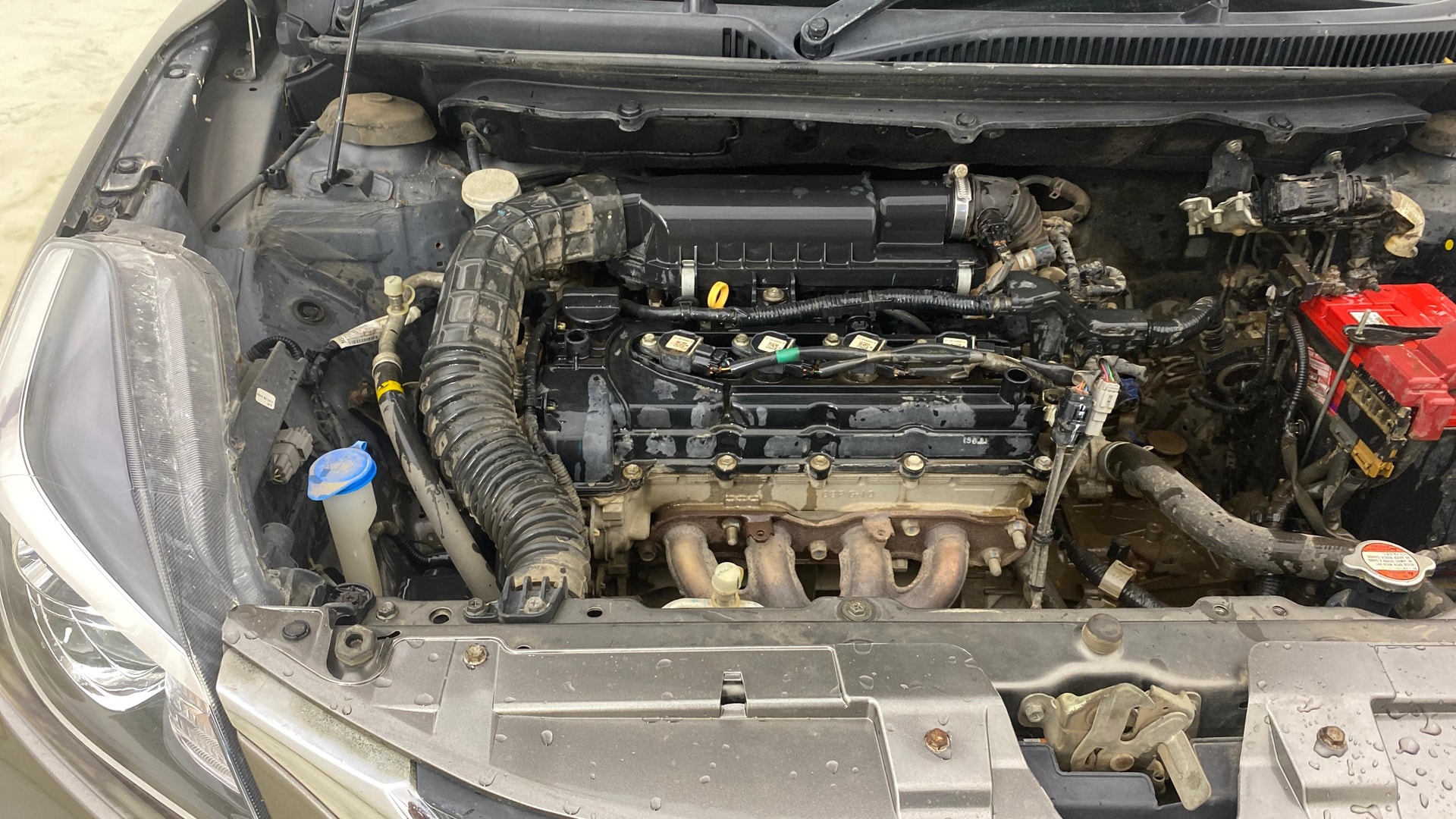 View 2021 Maruti Suzuki 1000 Base Variant Image 3 Used 2021 Maruti Suzuki 1000 Base Variant Image 3