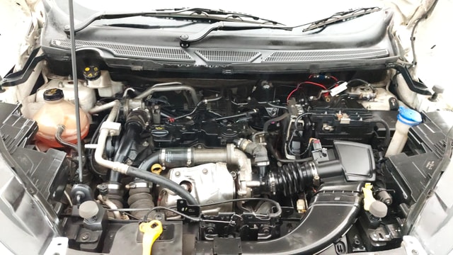 View Ford EcoSport Image 43 Used Ford EcoSport Image 43