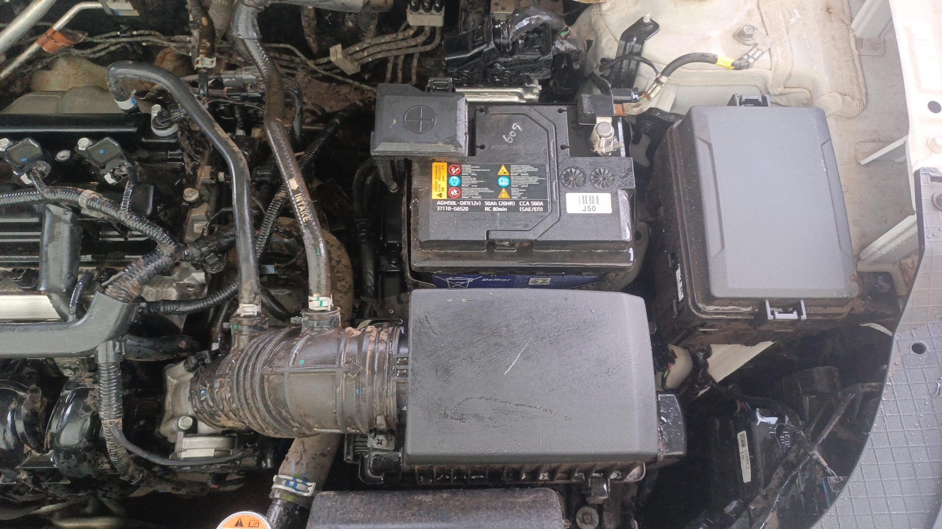 View 2024 Hyundai Venue SX 1.2 Petrol MT Image 14 Used 2024 Hyundai Venue SX 1.2 Petrol MT Image 14