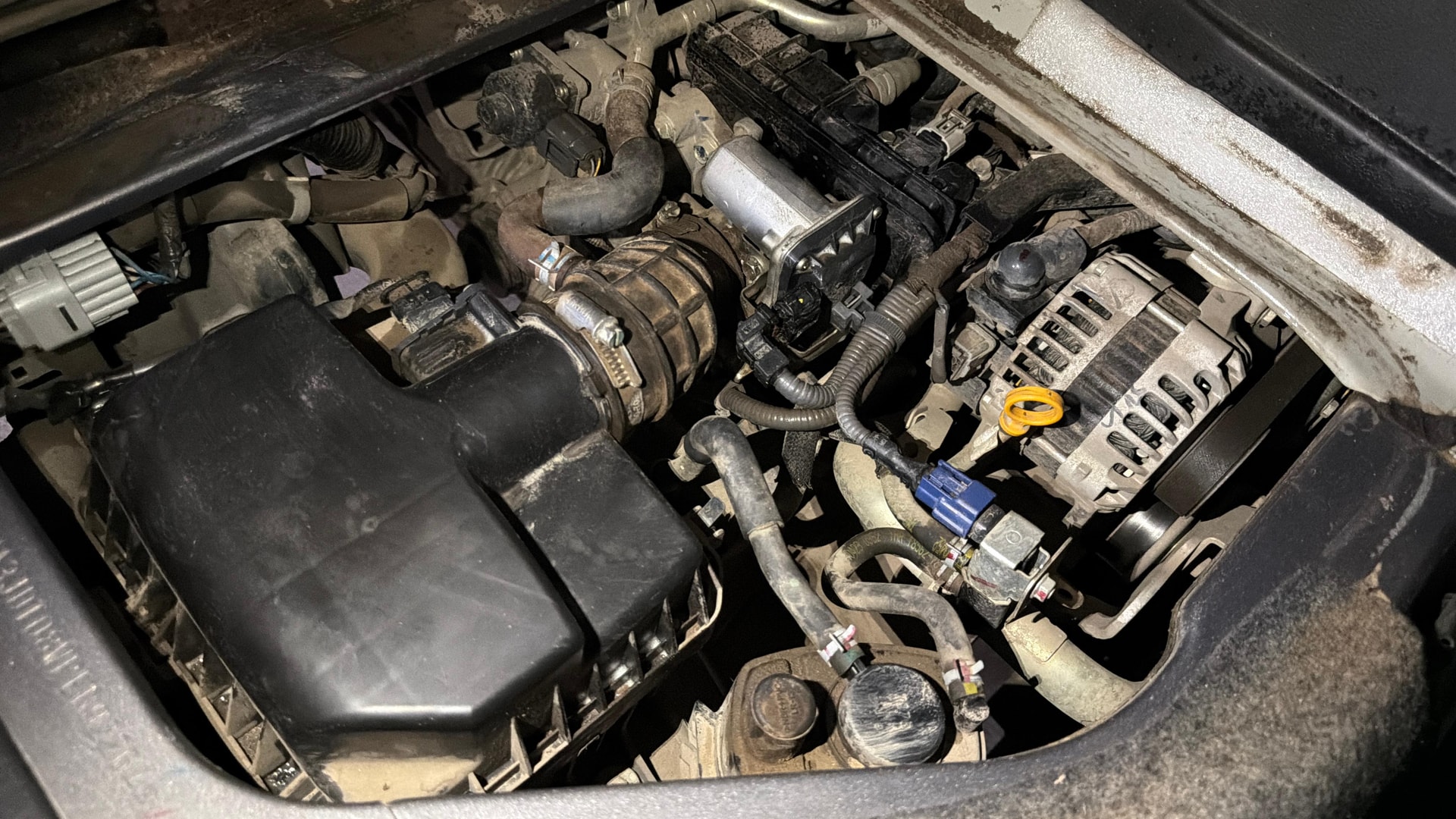 View 2023 Maruti Suzuki 1000 Base Variant Image 23 Used 2023 Maruti Suzuki 1000 Base Variant Image 23