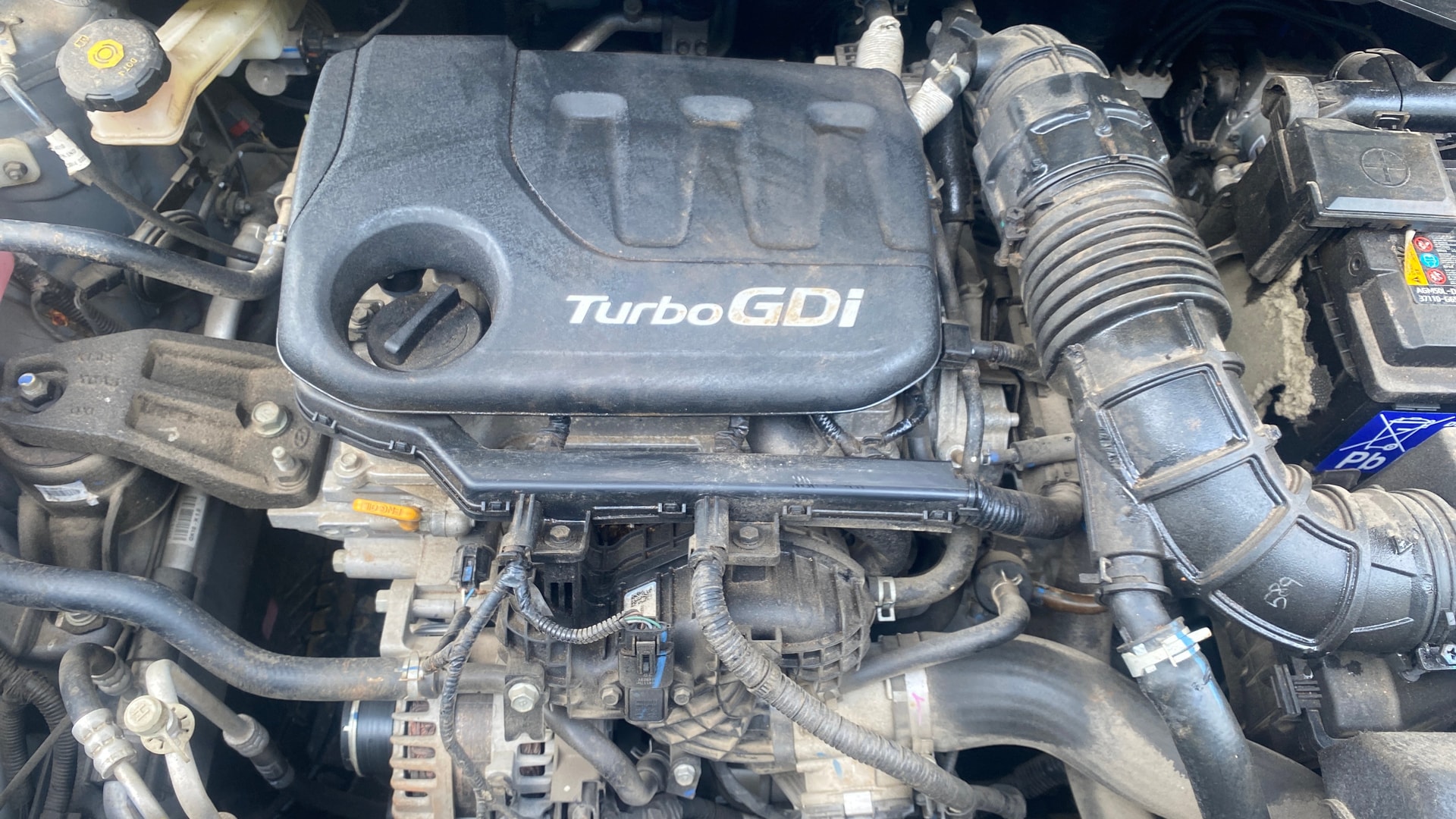 View 2023 Hyundai Venue SX (O) 1.0 Turbo Petrol DCT Image 43 Used 2023 Hyundai Venue SX (O) 1.0 Turbo Petrol DCT Image 43