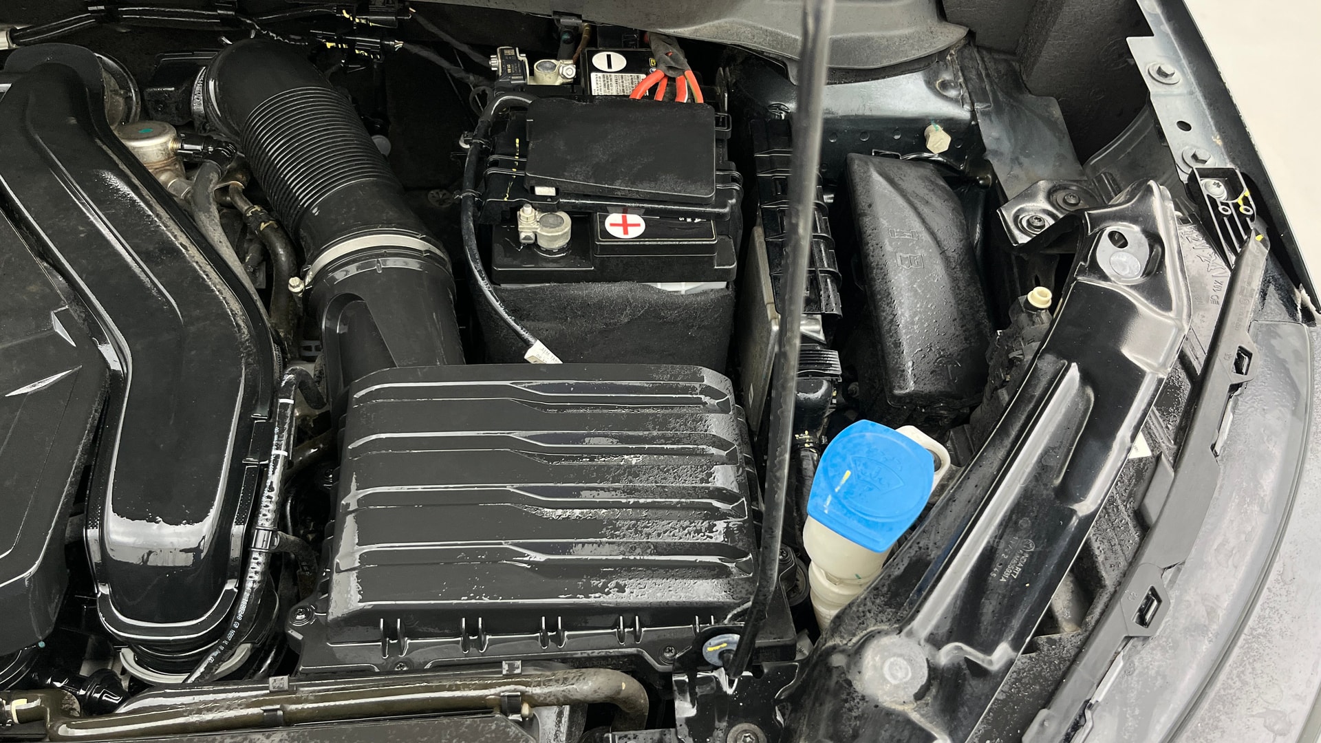 View 2022 Skoda Kushaq Style 1.5 TSI AT Image 29 Used 2022 Skoda Kushaq Style 1.5 TSI AT Image 29