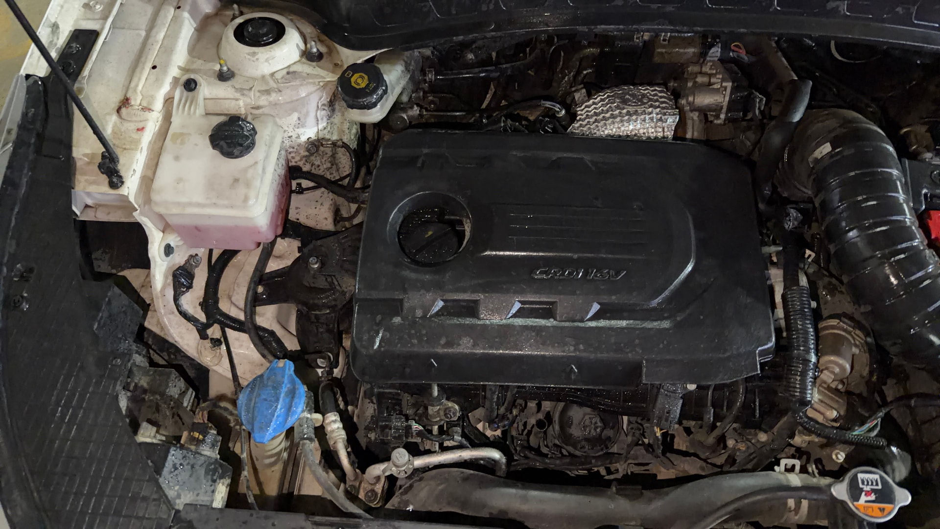 Used 2021 Kia Seltos Used 2021 Kia Seltos