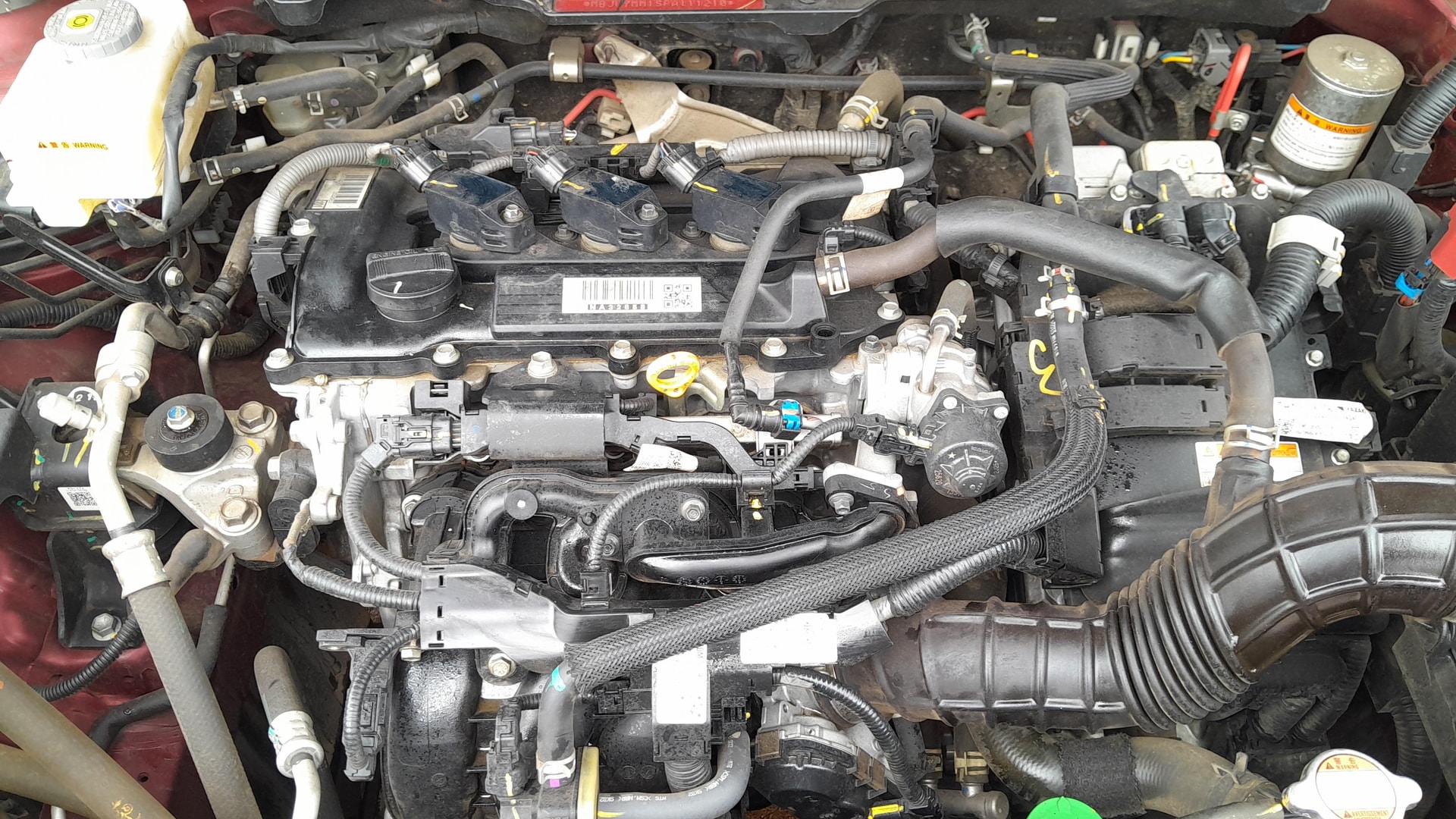 View 2023 Toyota Urban Cruiser Hyryder G e-Drive 2WD HYBRID Image 44 Used 2023 Toyota Urban Cruiser Hyryder G e-Drive 2WD HYBRID Image 44