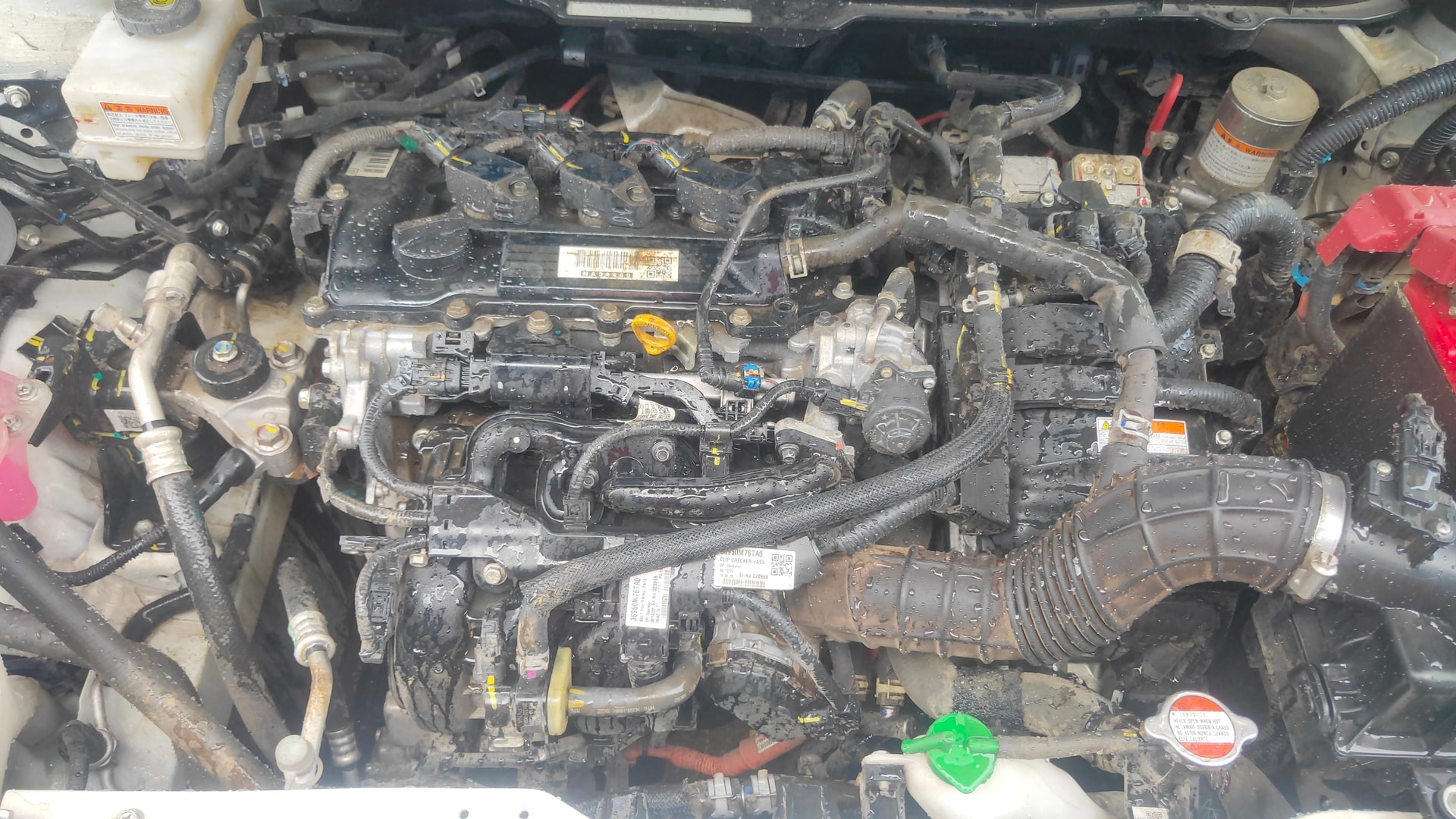 View 2023 Maruti Suzuki 1000 Base Variant Image 46 Used 2023 Maruti Suzuki 1000 Base Variant Image 46
