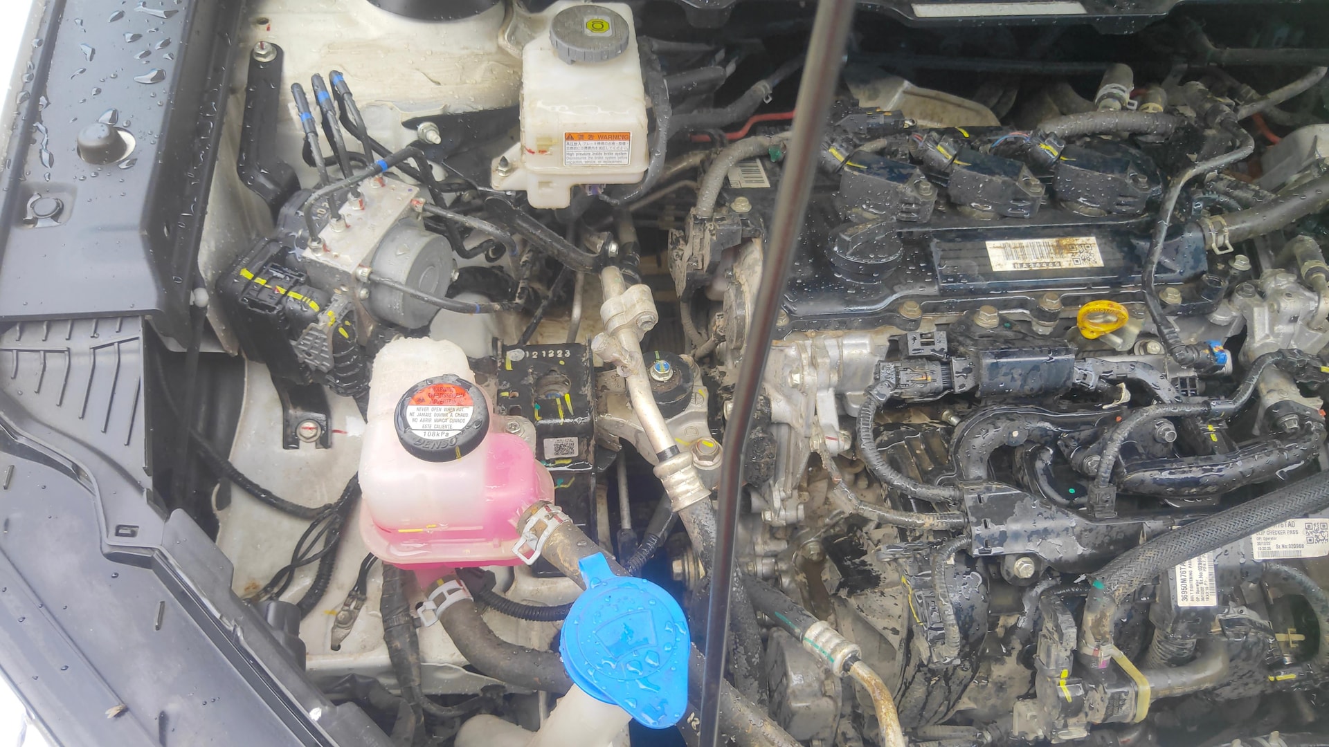 View 2023 Maruti Suzuki 1000 Base Variant Image 26 Used 2023 Maruti Suzuki 1000 Base Variant Image 26