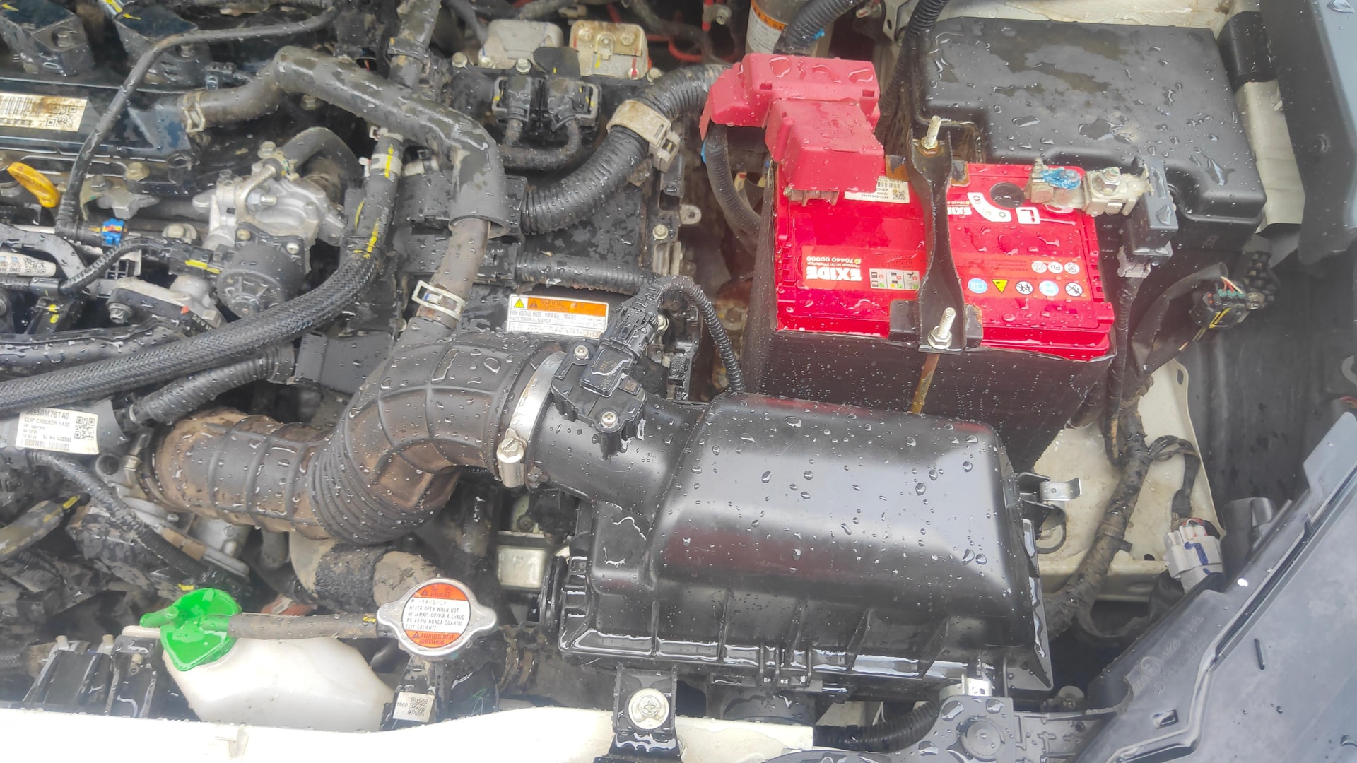 View 2023 Maruti Suzuki 1000 Base Variant Image 30 Used 2023 Maruti Suzuki 1000 Base Variant Image 30