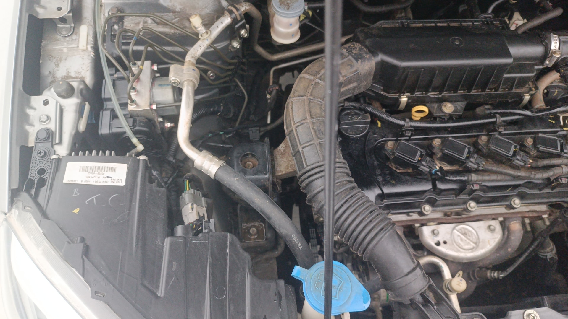 View 2021 Maruti Suzuki 1000 Base Variant Image 26 Used 2021 Maruti Suzuki 1000 Base Variant Image 26
