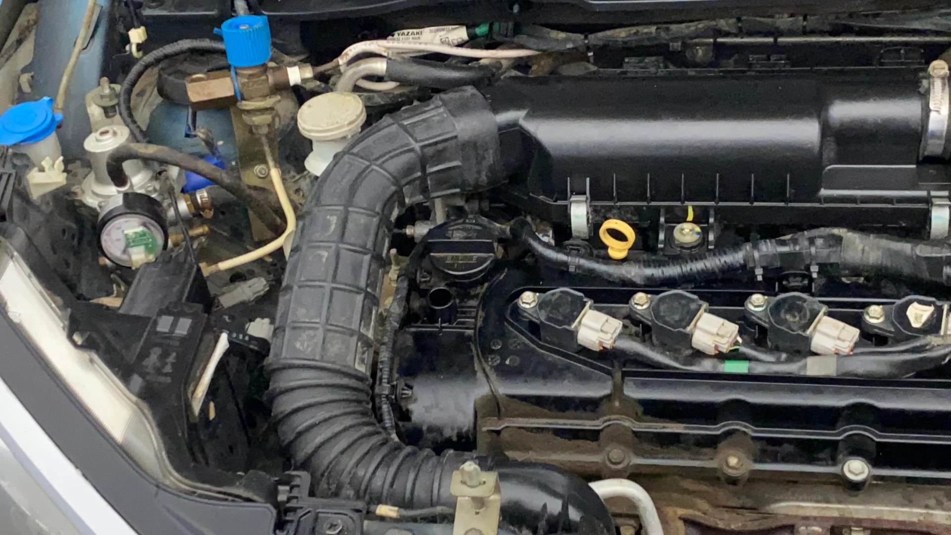 View 2020 Maruti Suzuki 1000 Base Variant Image 3 Used 2020 Maruti Suzuki 1000 Base Variant Image 3