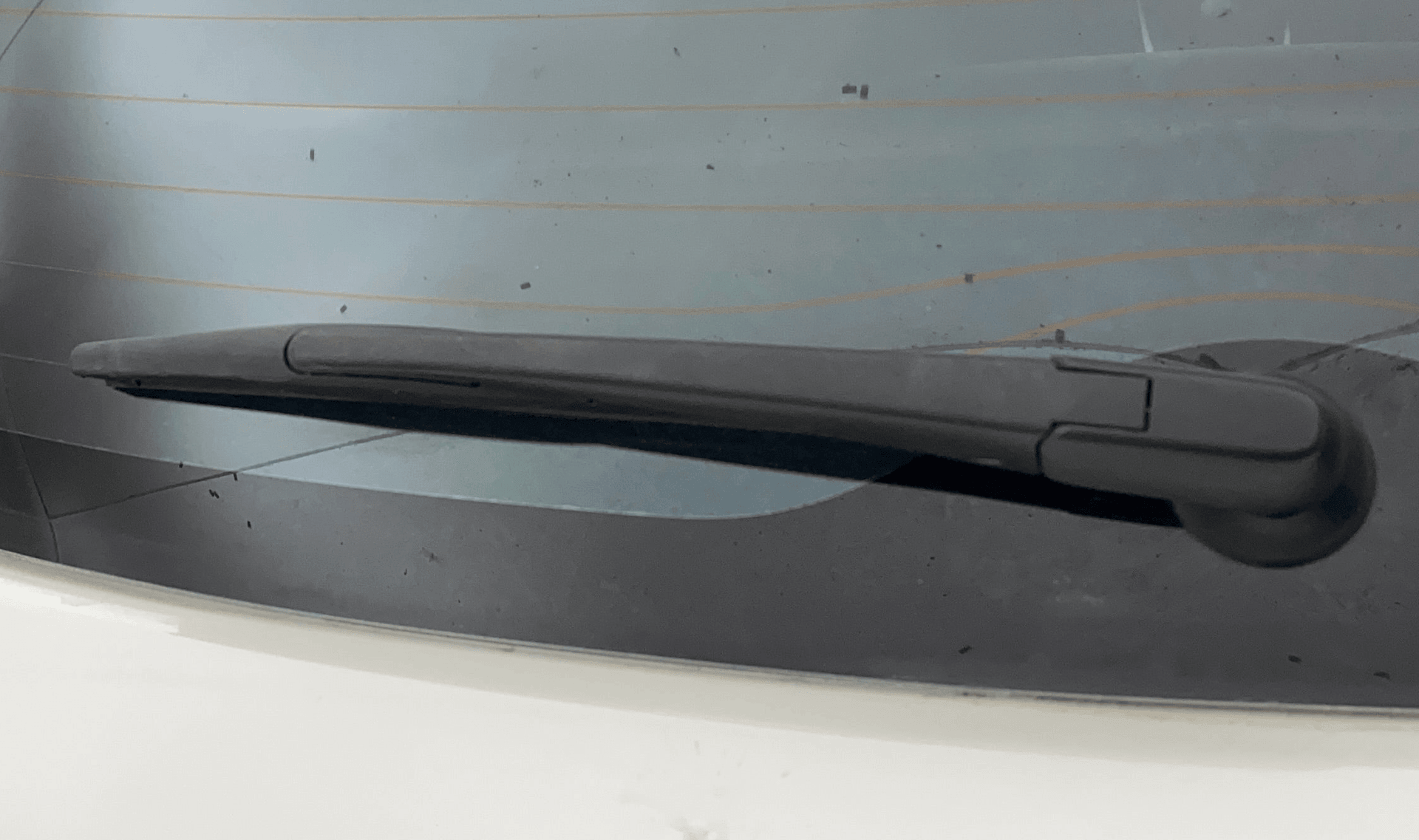 View 2019 Maruti Suzuki 1000 Base Variant Image 43 Used 2019 Maruti Suzuki 1000 Base Variant Image 43