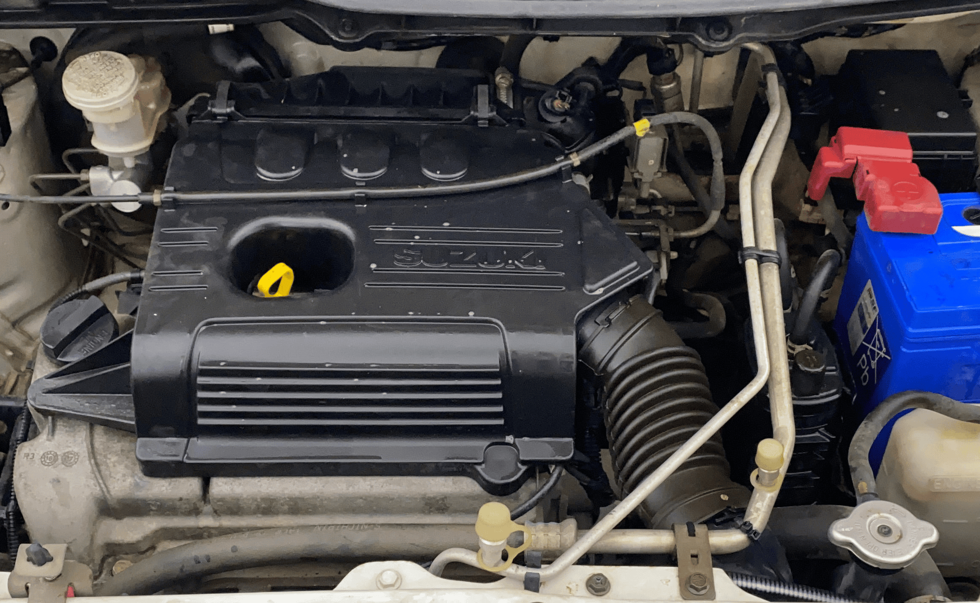 View 2017 Maruti Suzuki 1000 Base Variant Image 40 Used 2017 Maruti Suzuki 1000 Base Variant Image 40